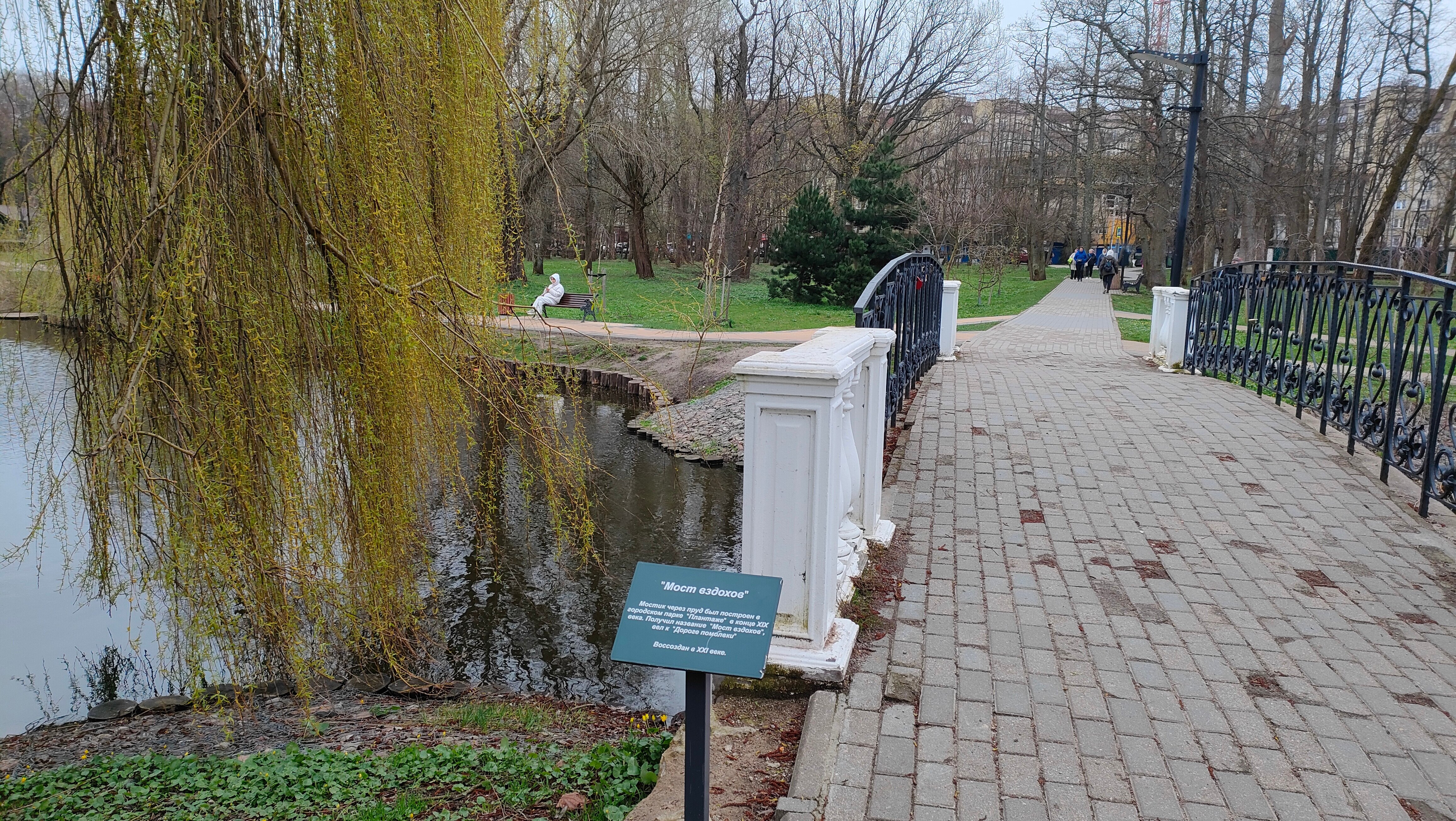 Фото Апартаменты Zelik