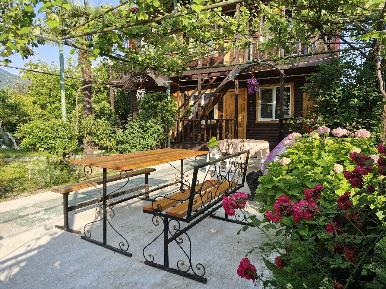 Фото Новая Гагра