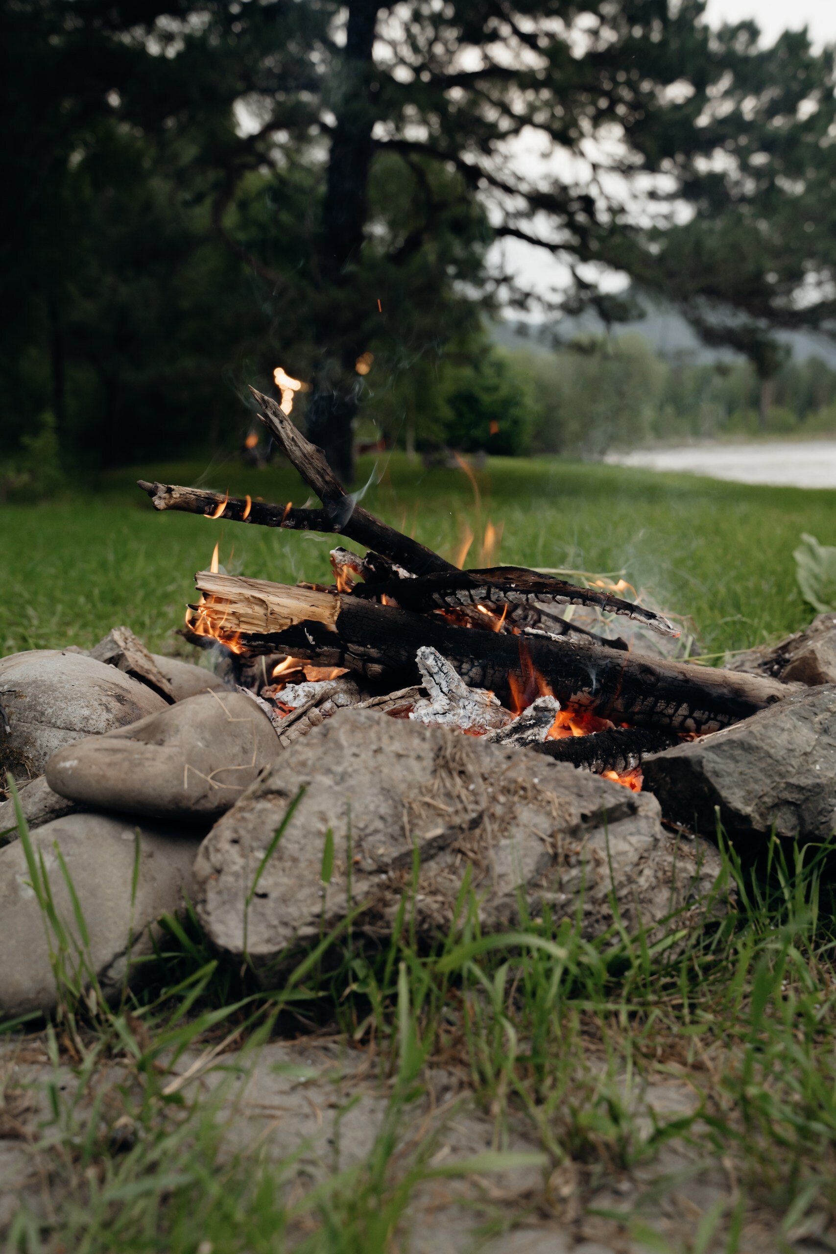 Фото Камышла Парк