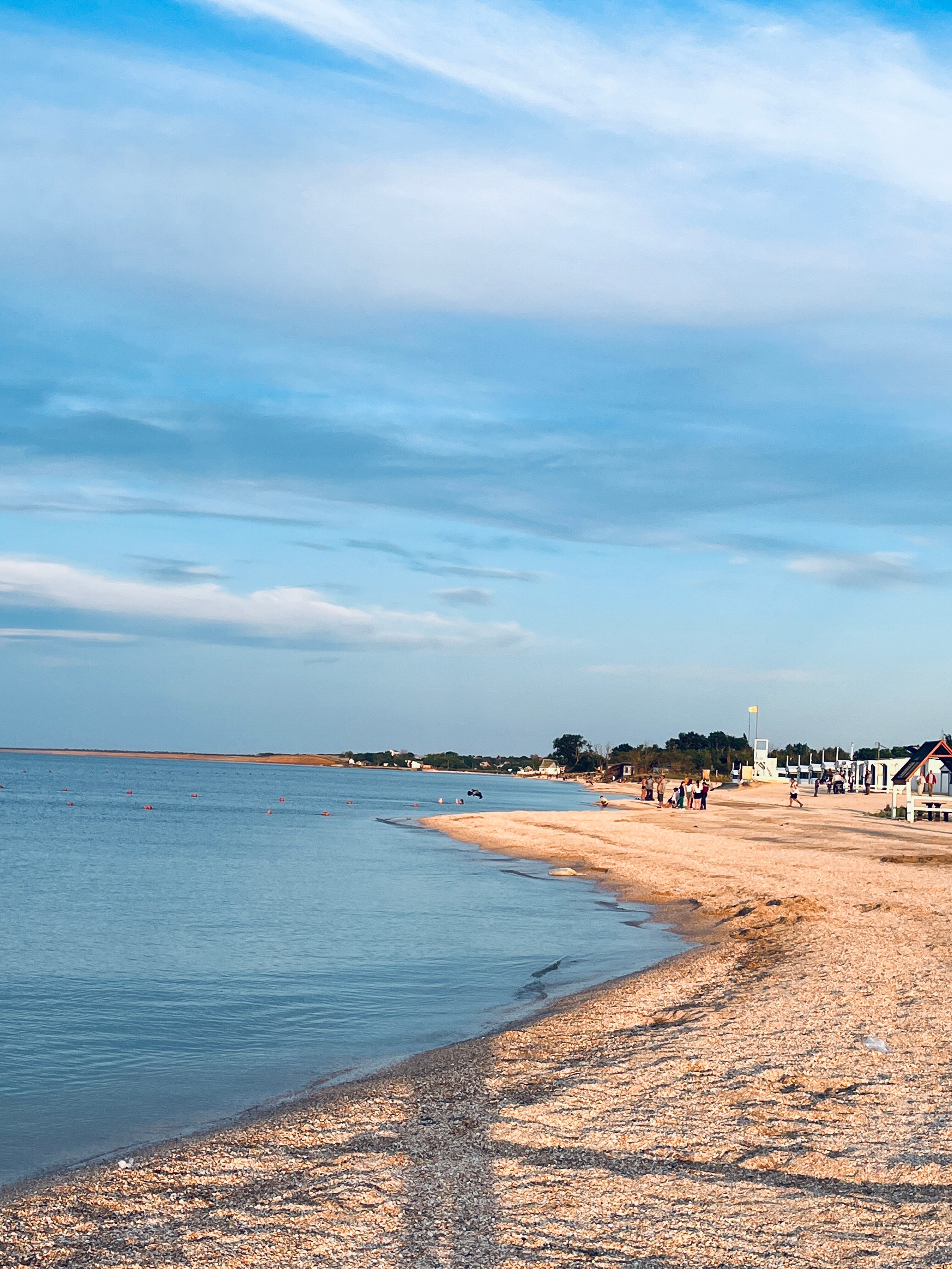 Фото Лаванда