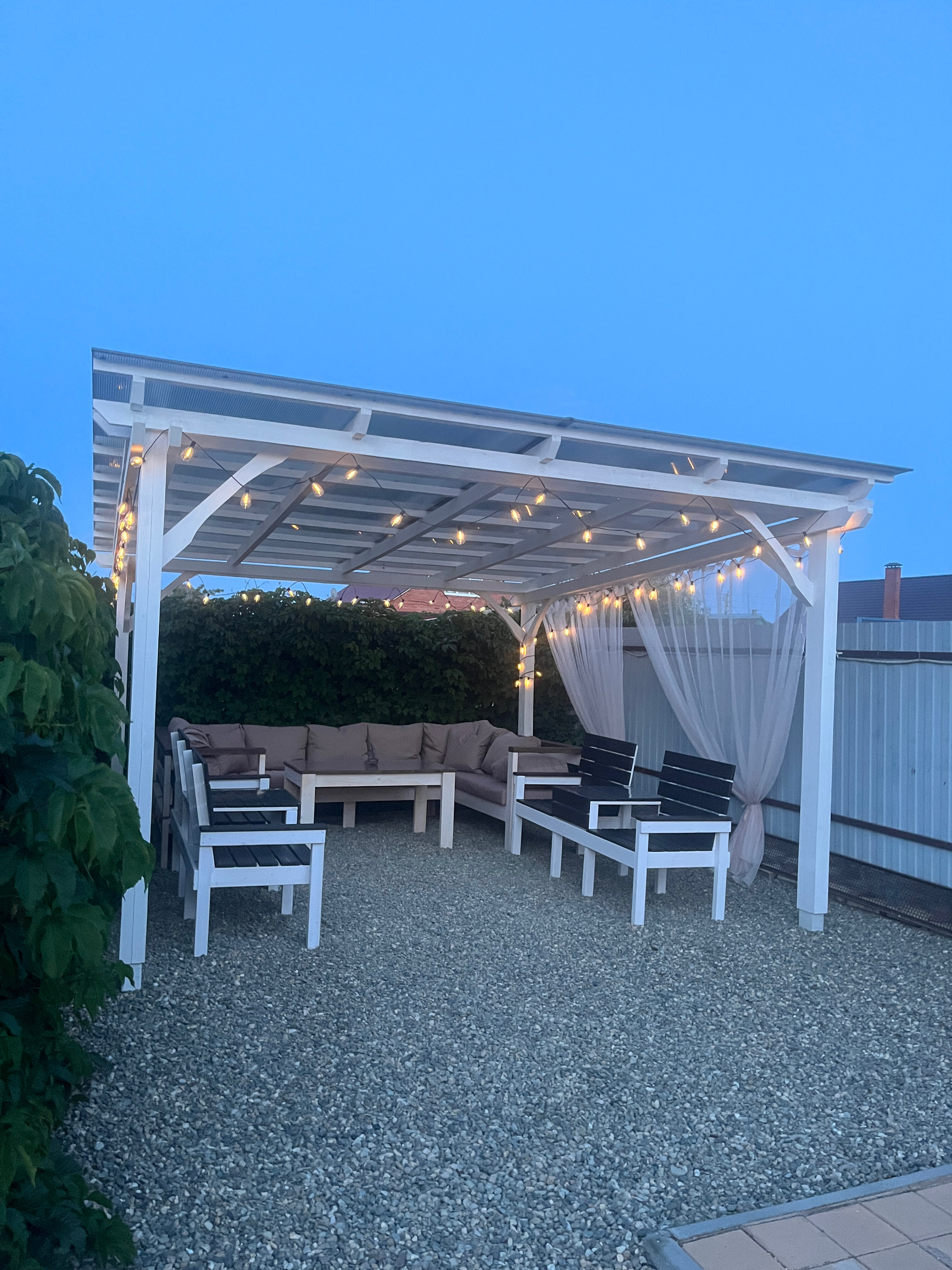 Фото Лаванда