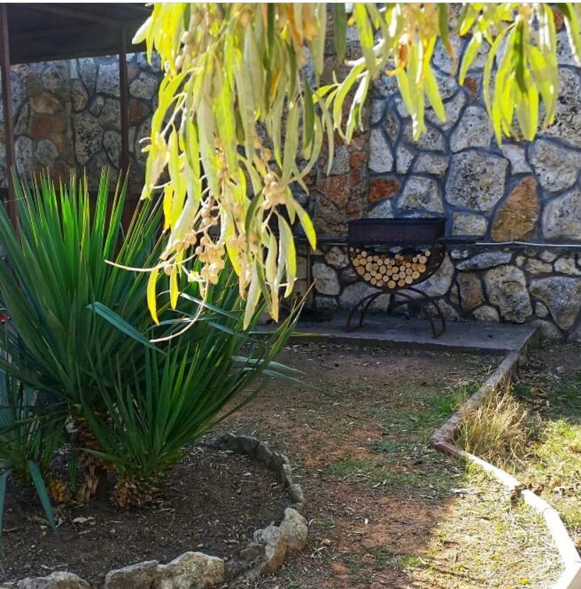 Фото Занзибар