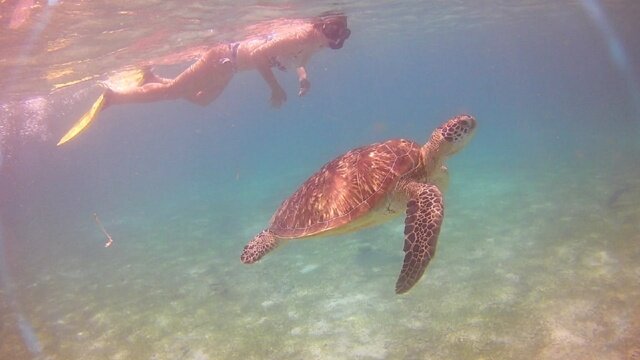 Фото Kuredu Resort and SPA
