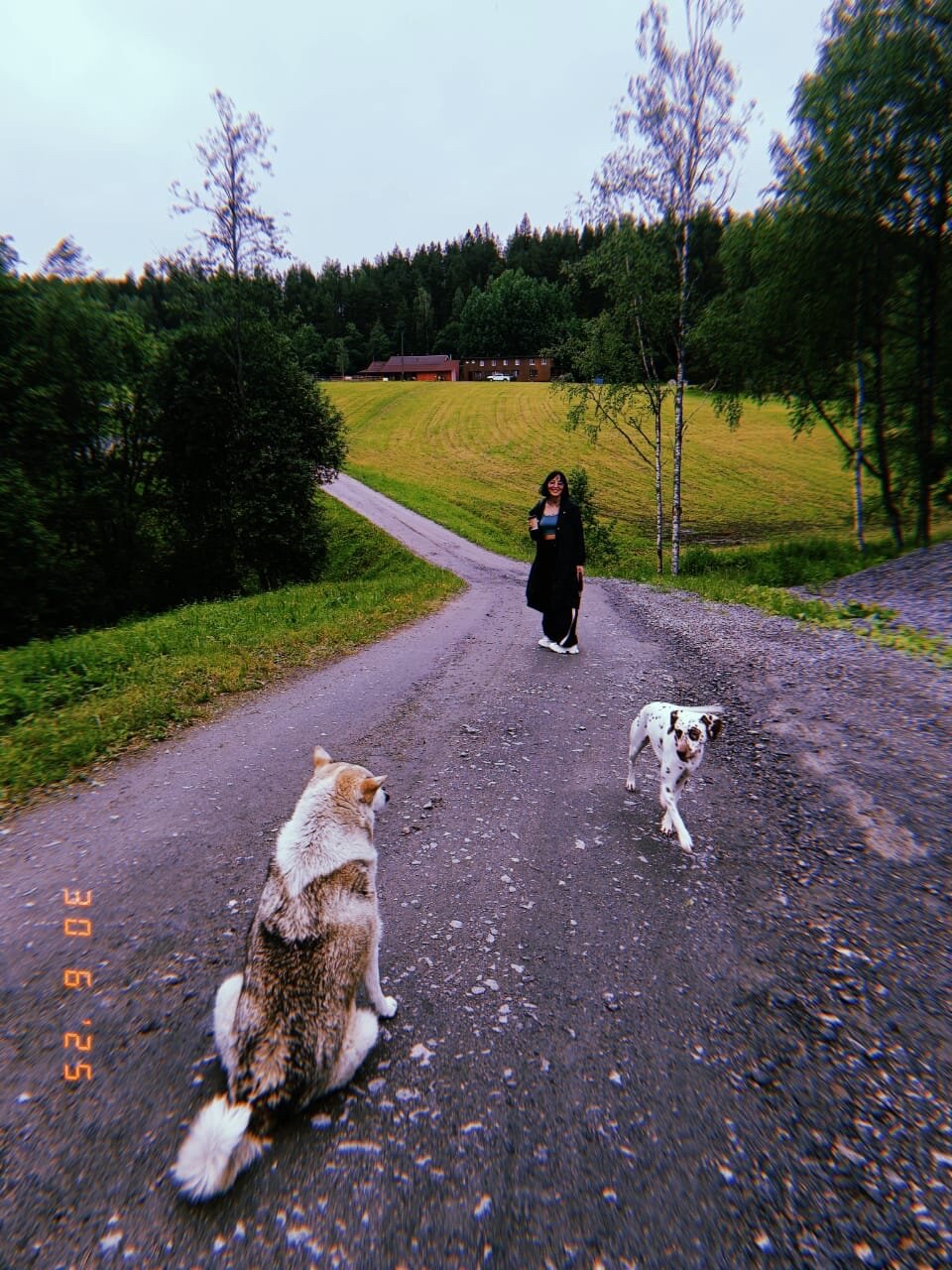 Фото Хутор Ярви