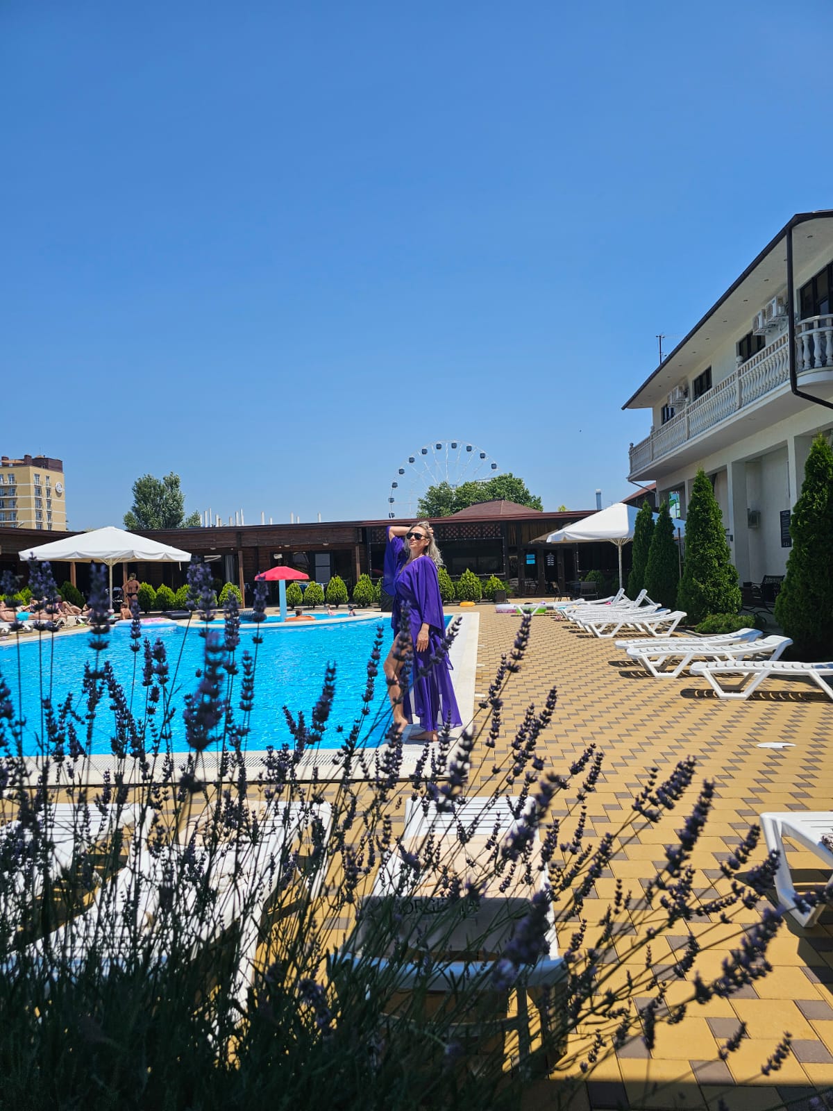 Фото Горгиппия