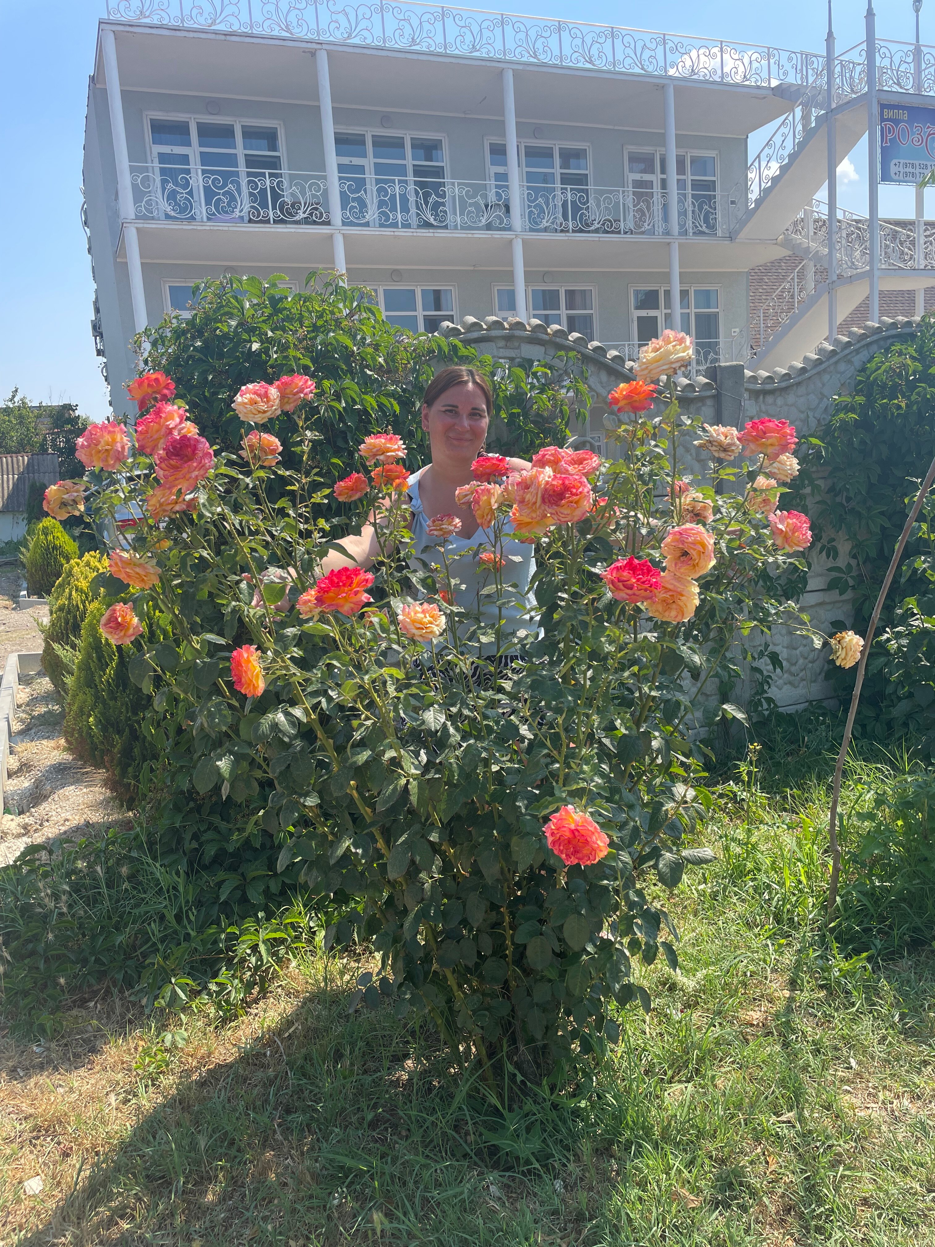 Фото Квитка