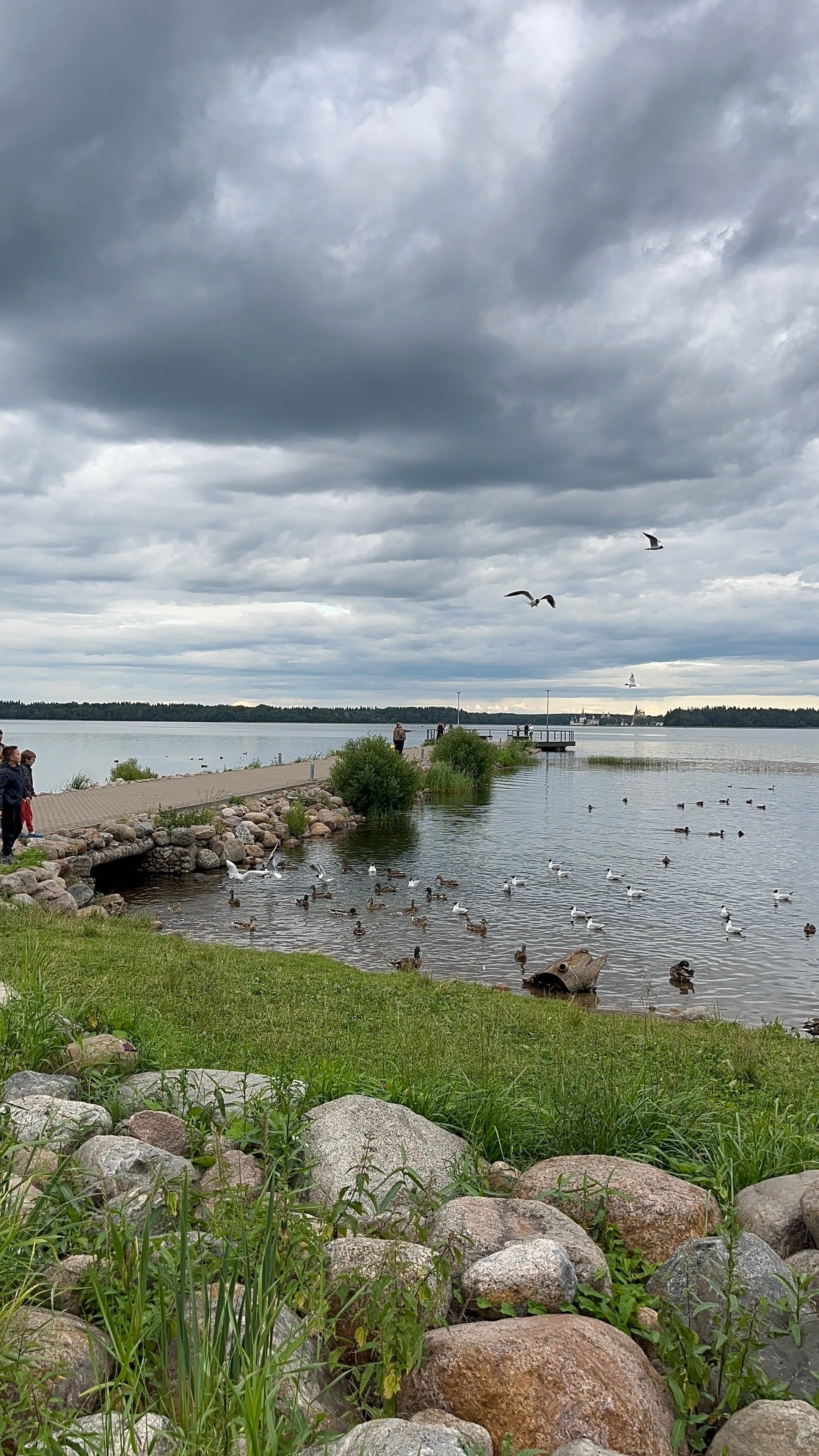Фото Барин Брусникин