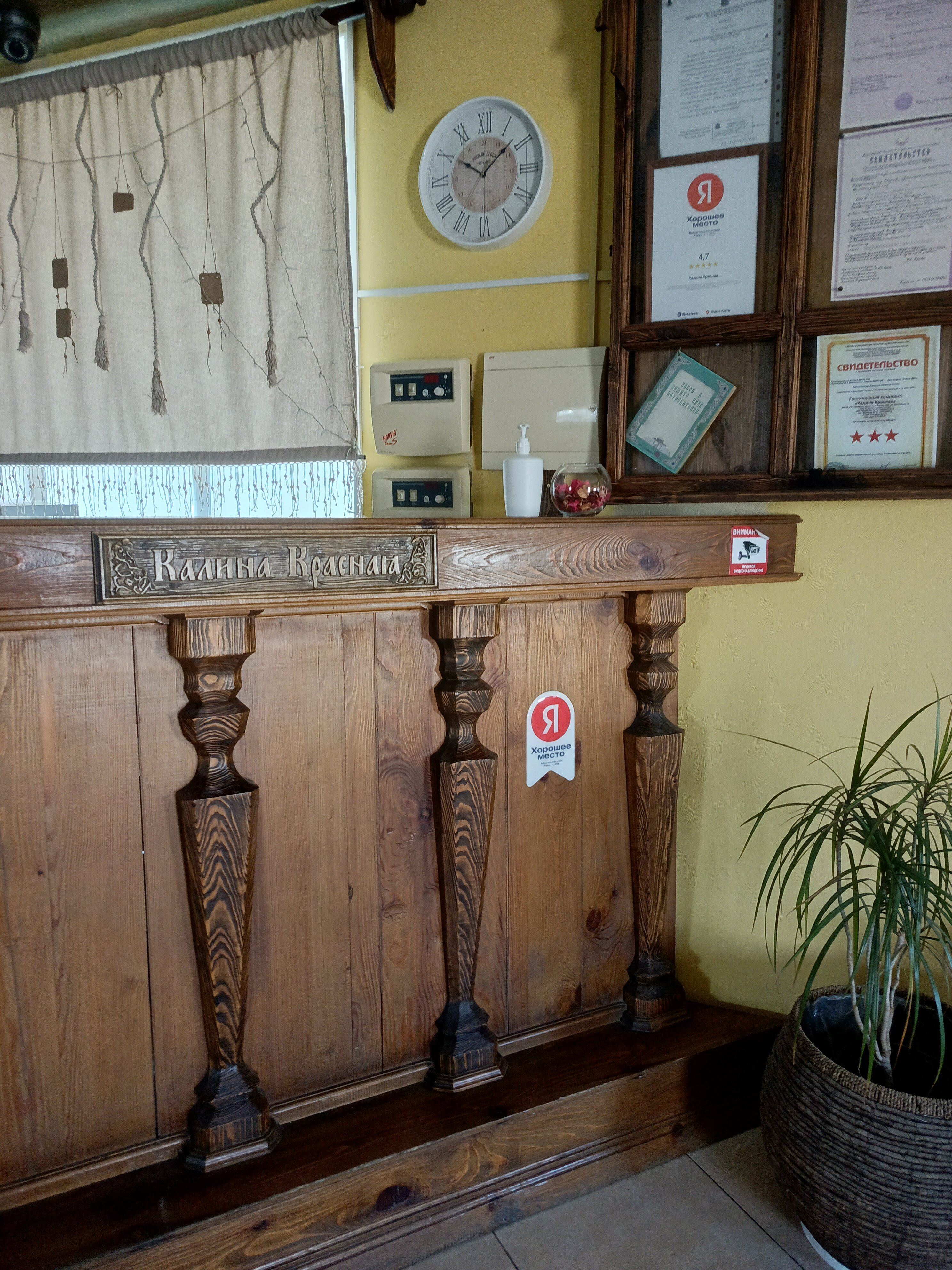 Фото Калина красная