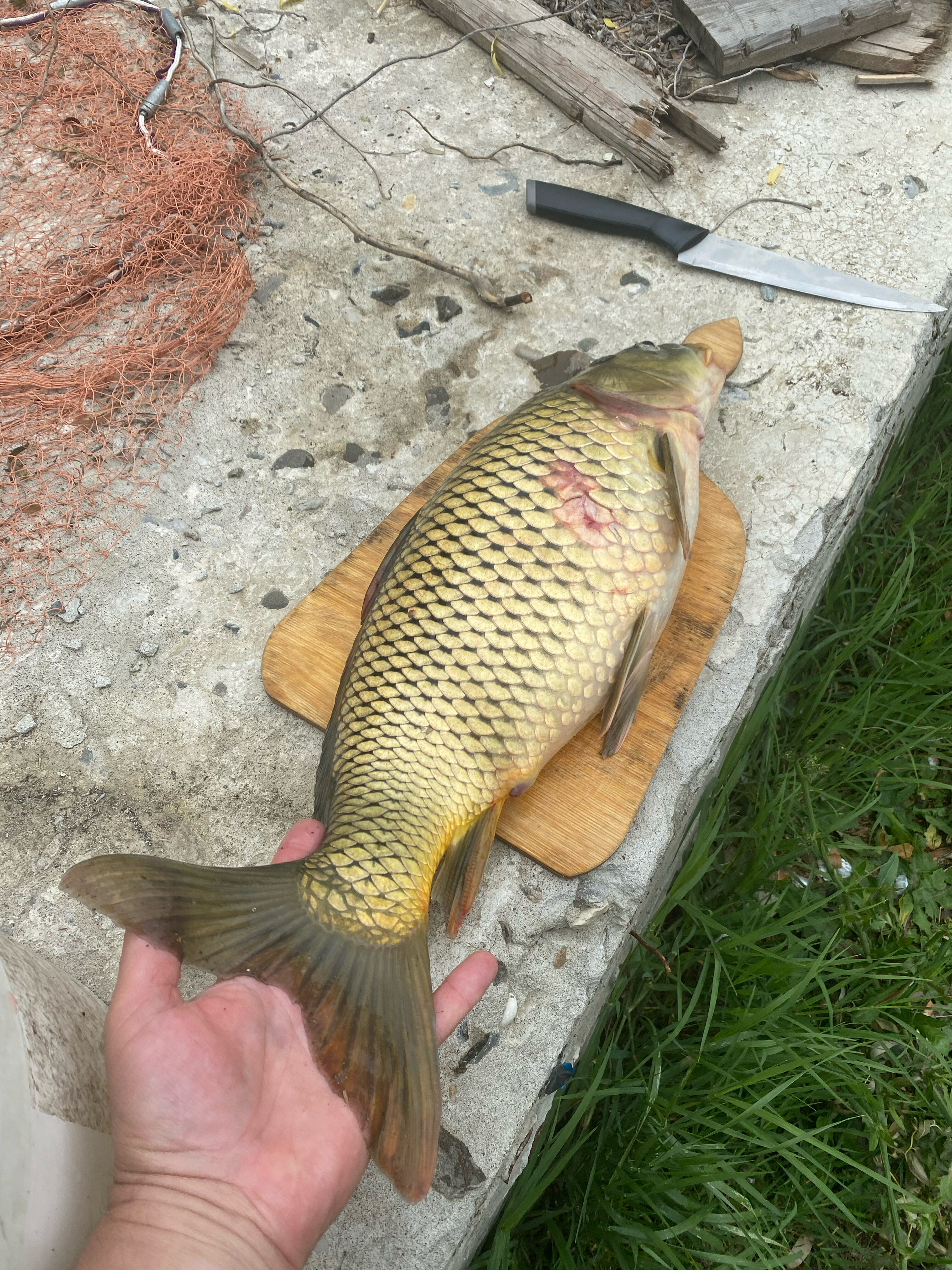 Фото Гранд Фазенда