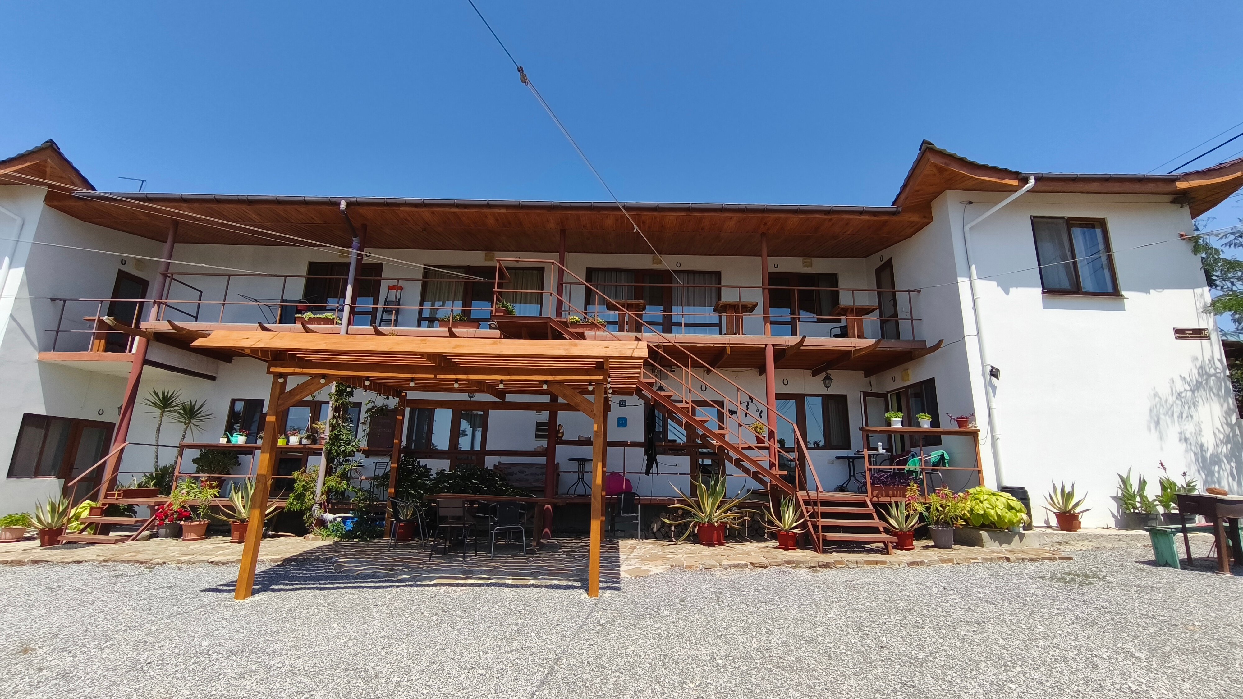 Фото Жемчужина Меганома