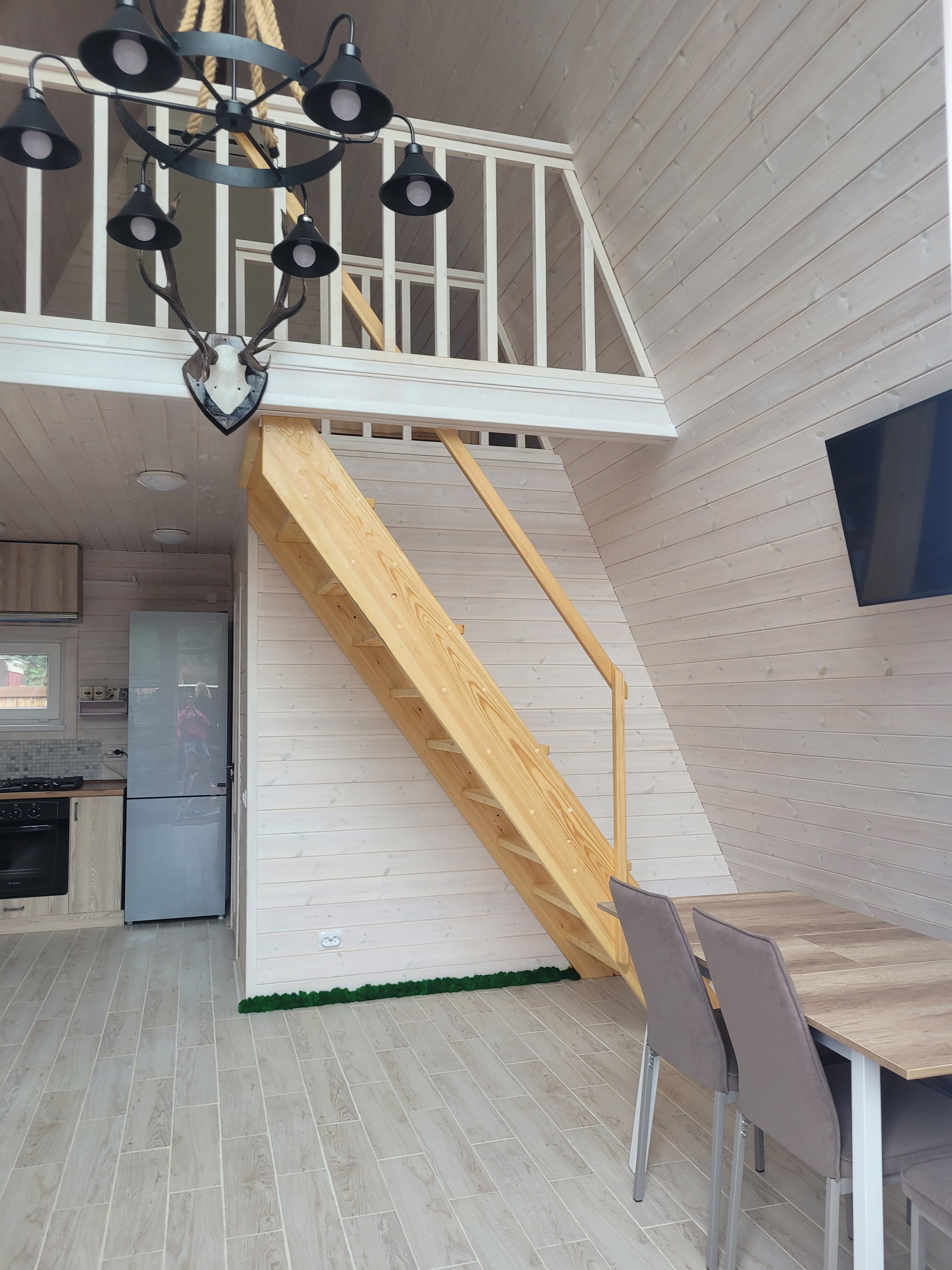 Фото Ёлки-Иголки