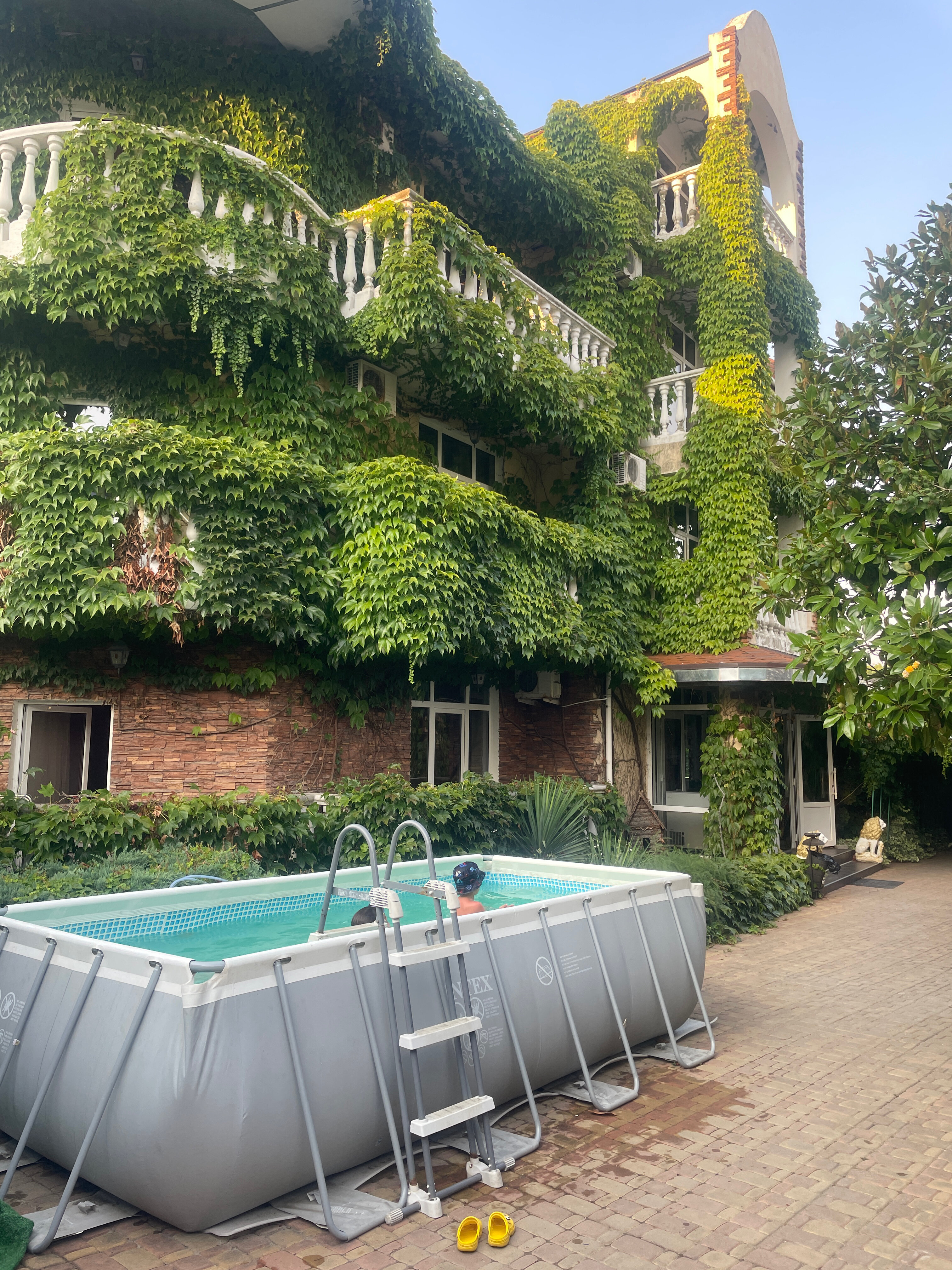 Фото Гестия