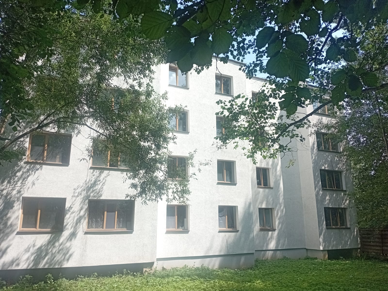 Фото Апартаменты в лесу