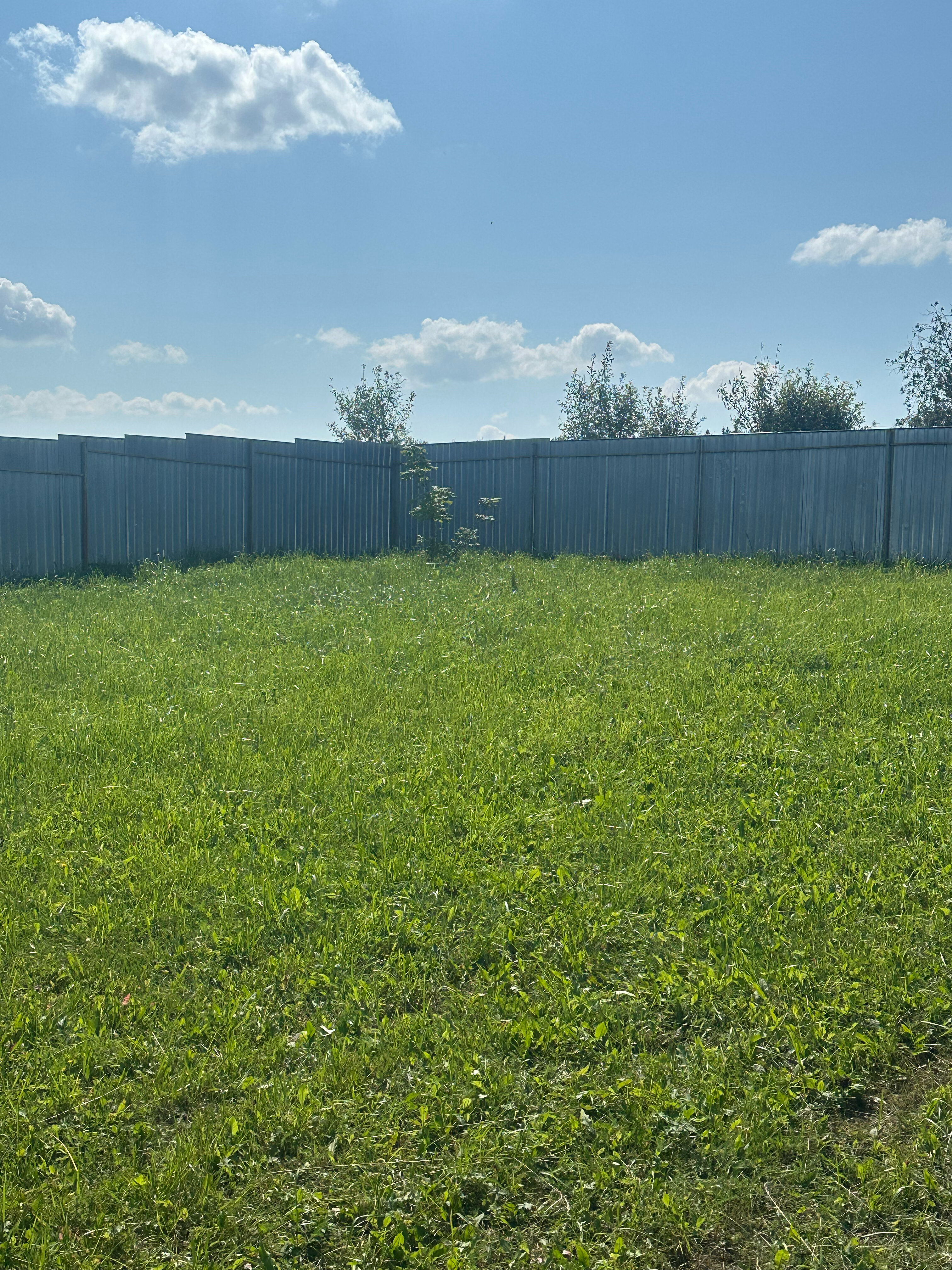 Фото Коттедж Мыза