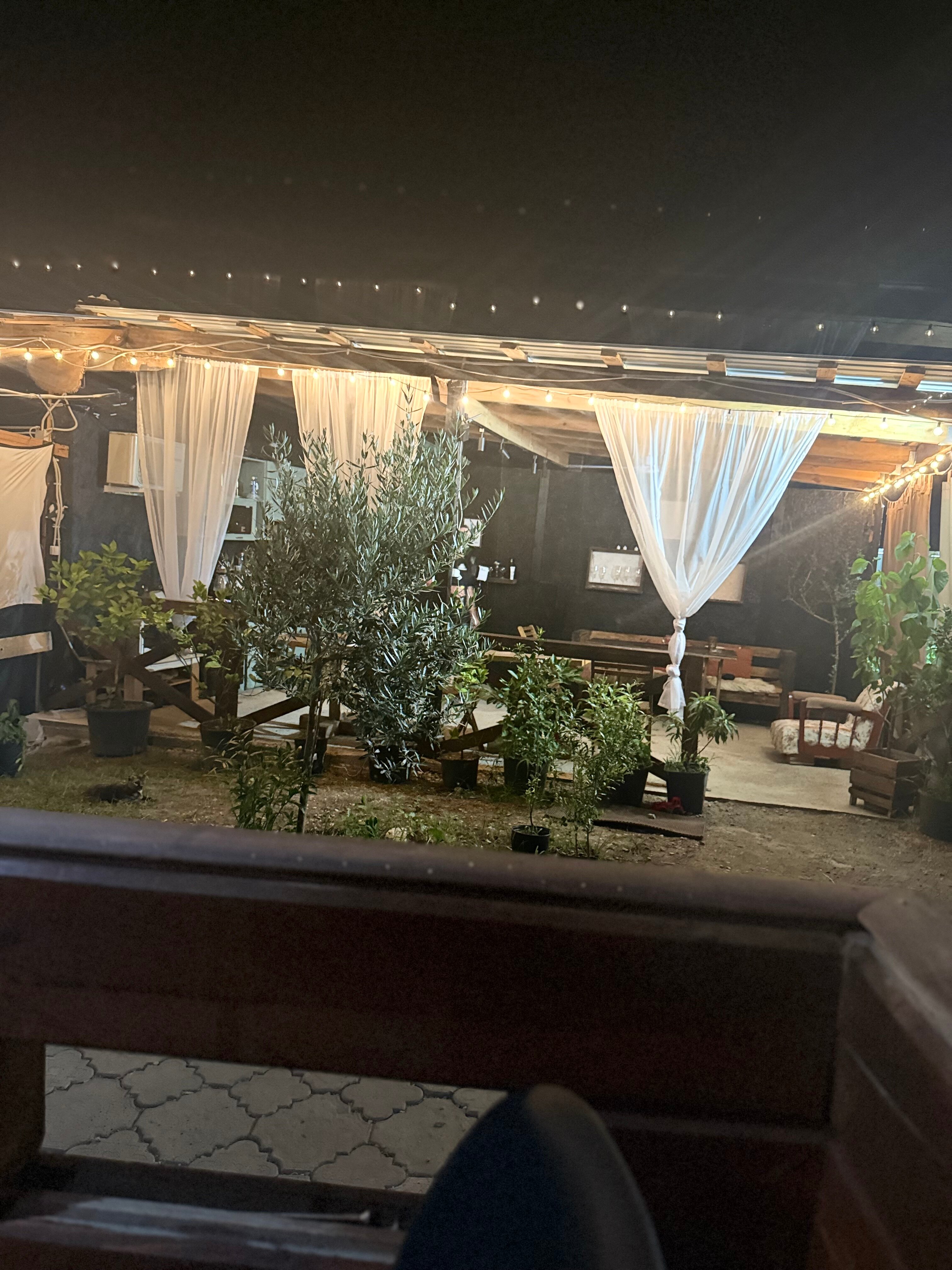 Фото 192517484496