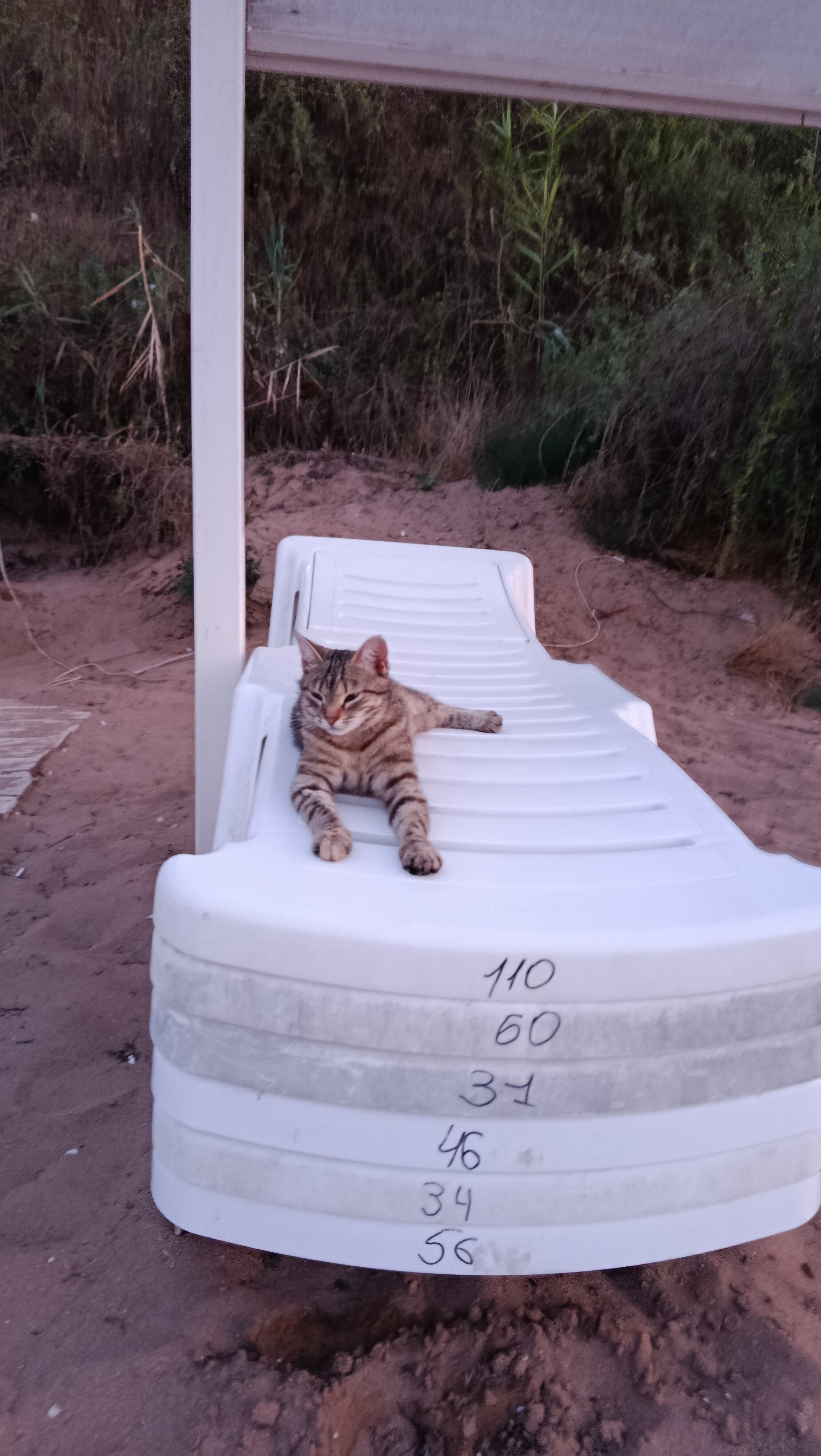 Фото Уютный Коттедж