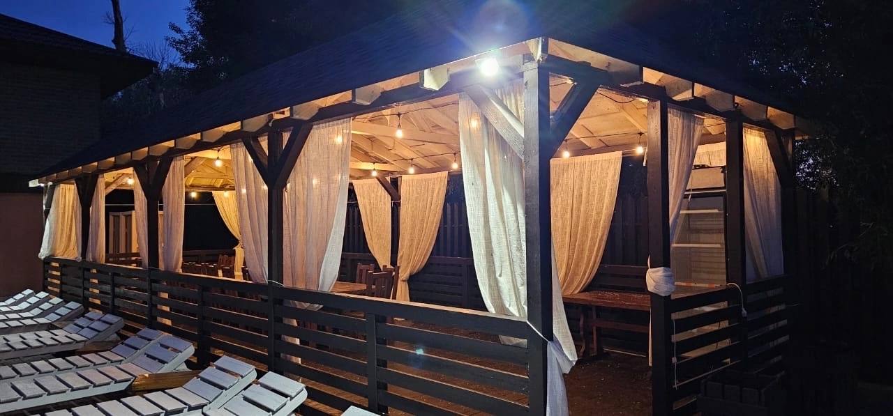 Фото Кипарис