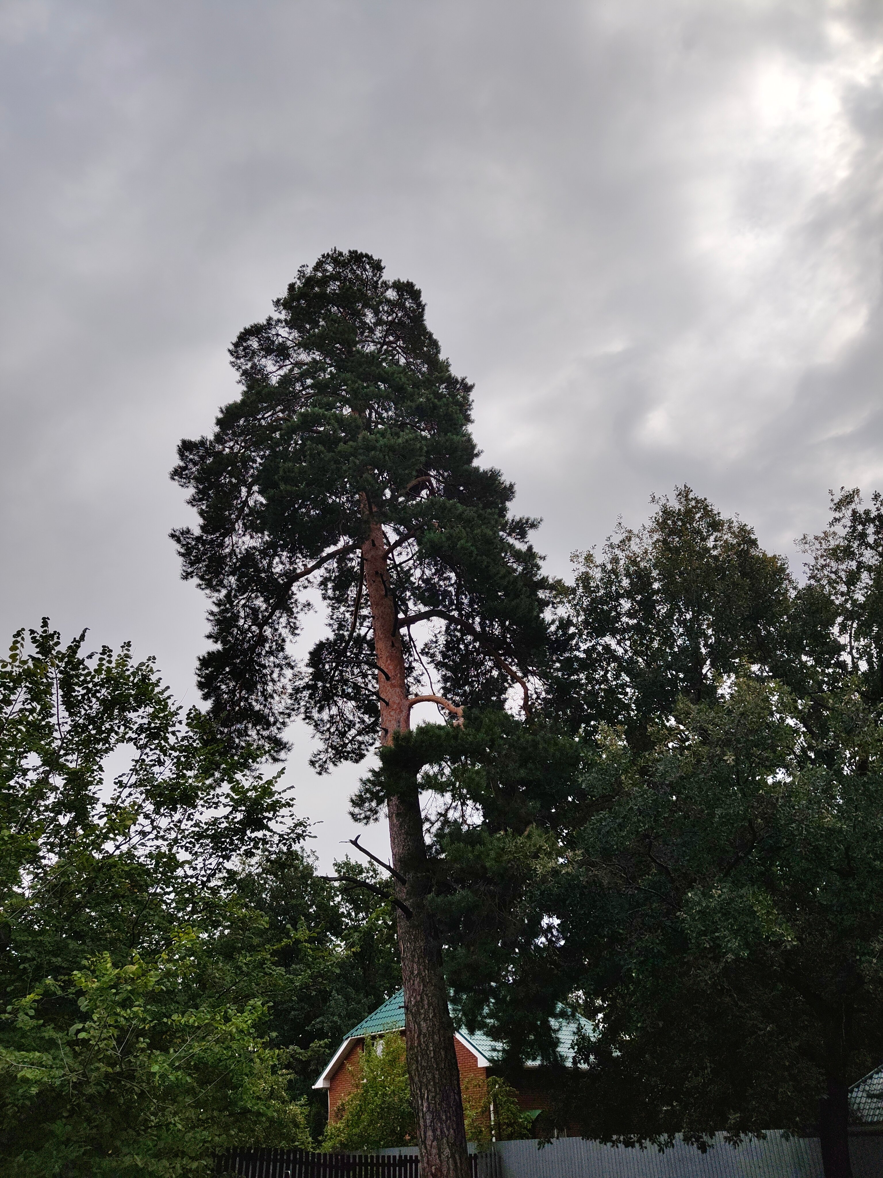 Фото Голубой Домик c Душой в Озерном
