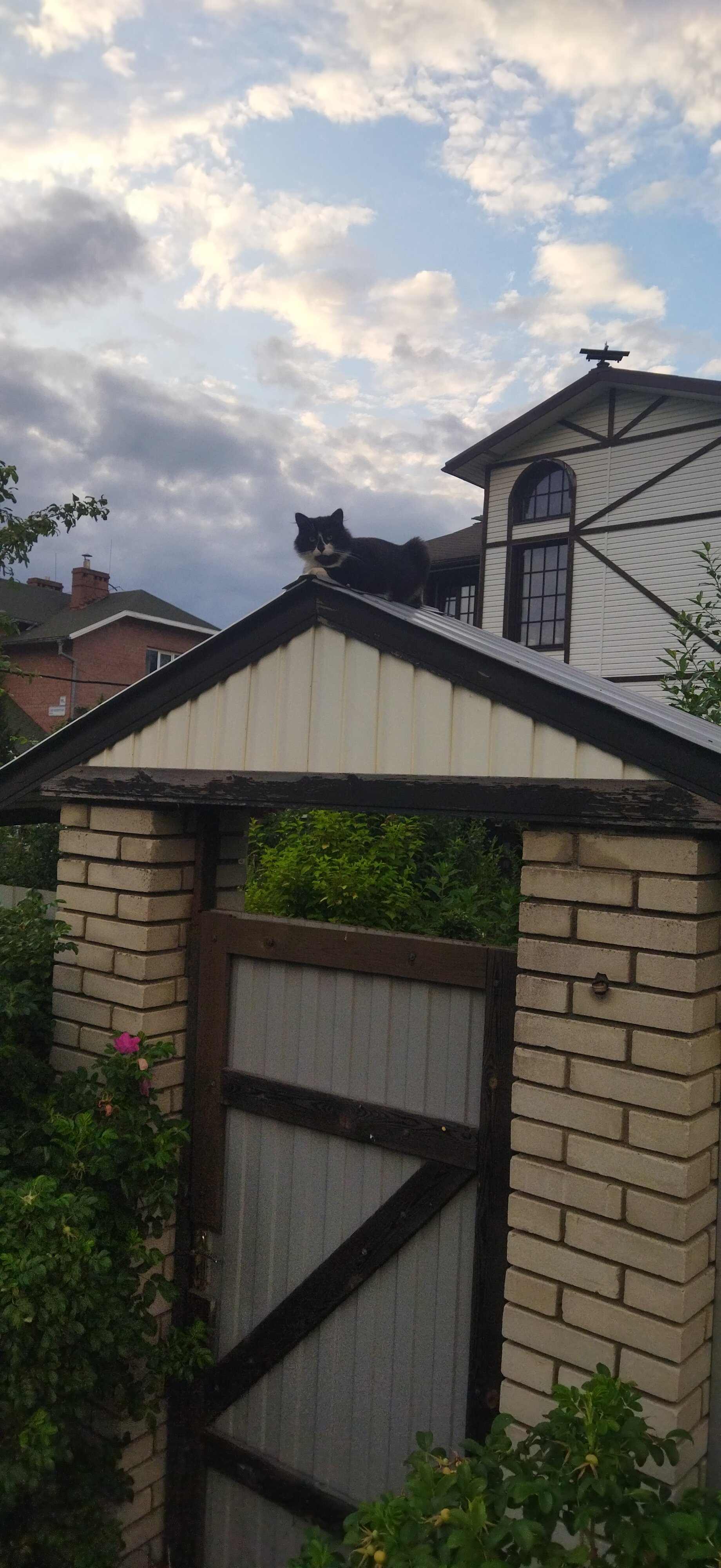 Фото Старая Стрельна