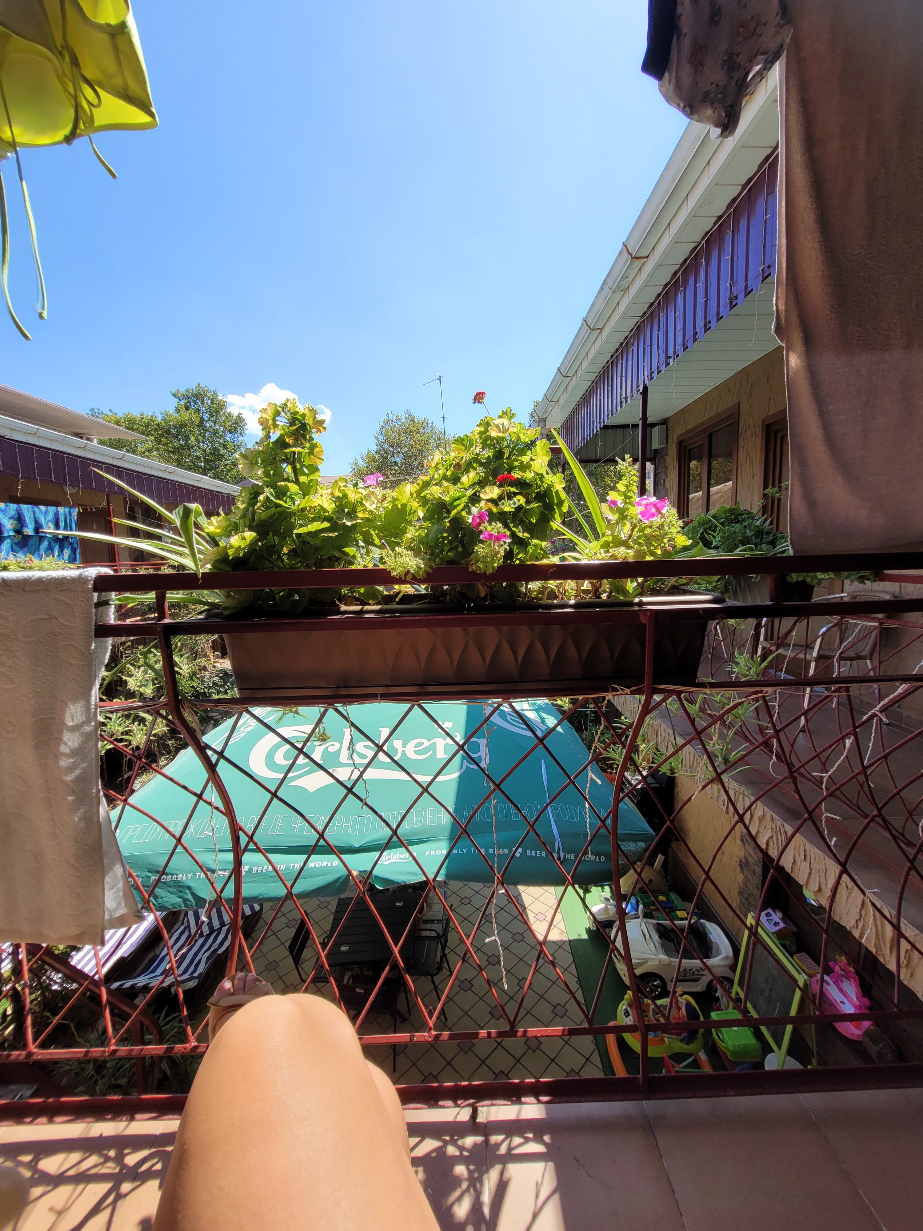 Фото Камелот