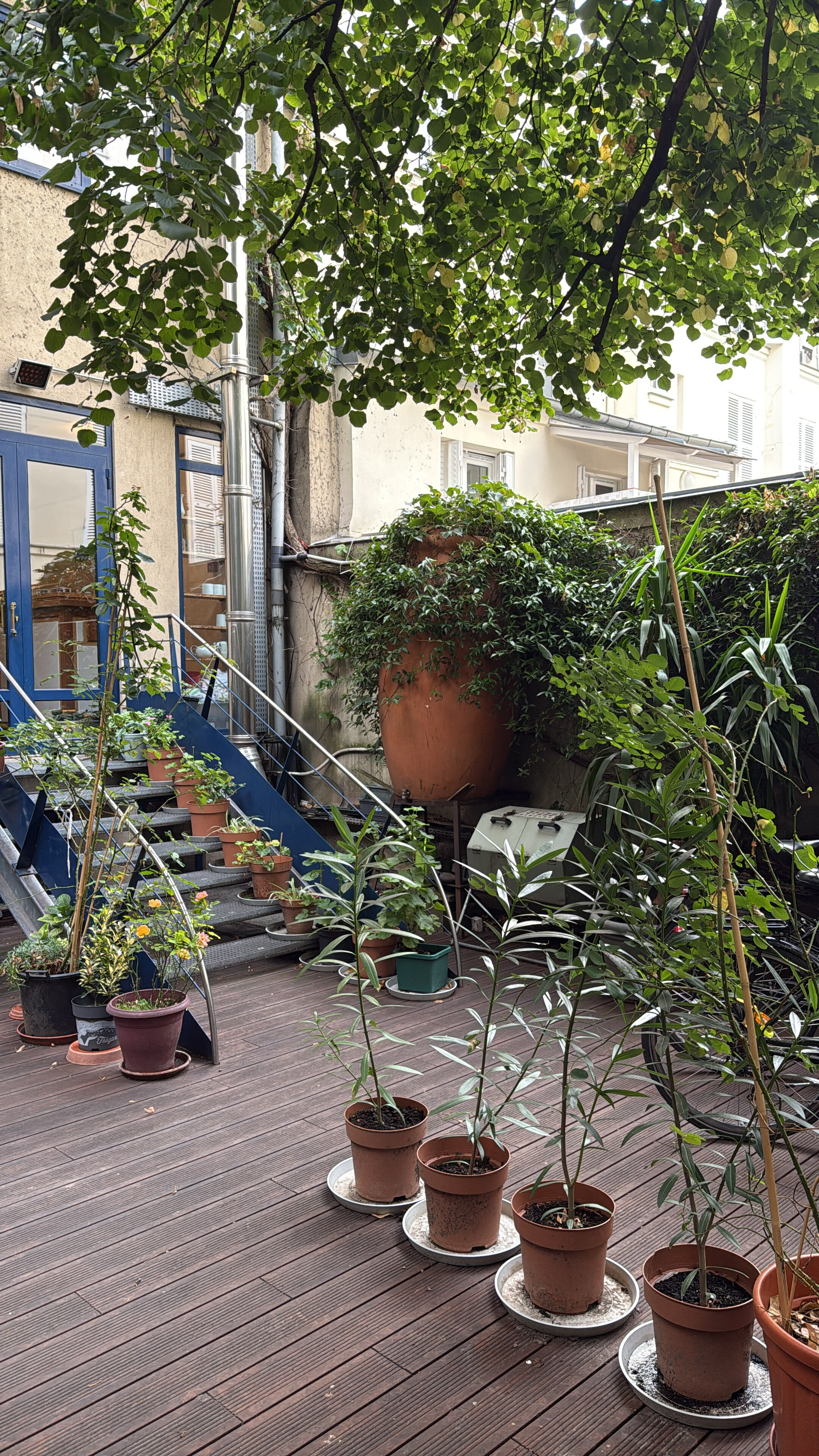 Фото Solar Hotel