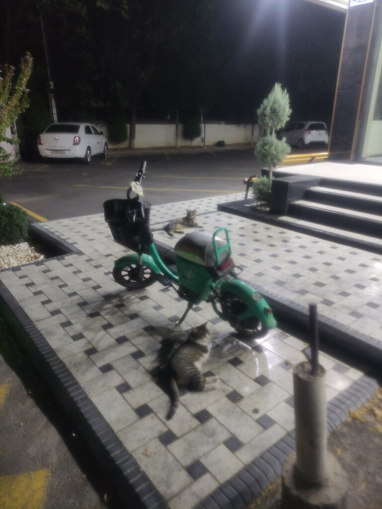 Payment terminal Paynet, Tashkent, photo