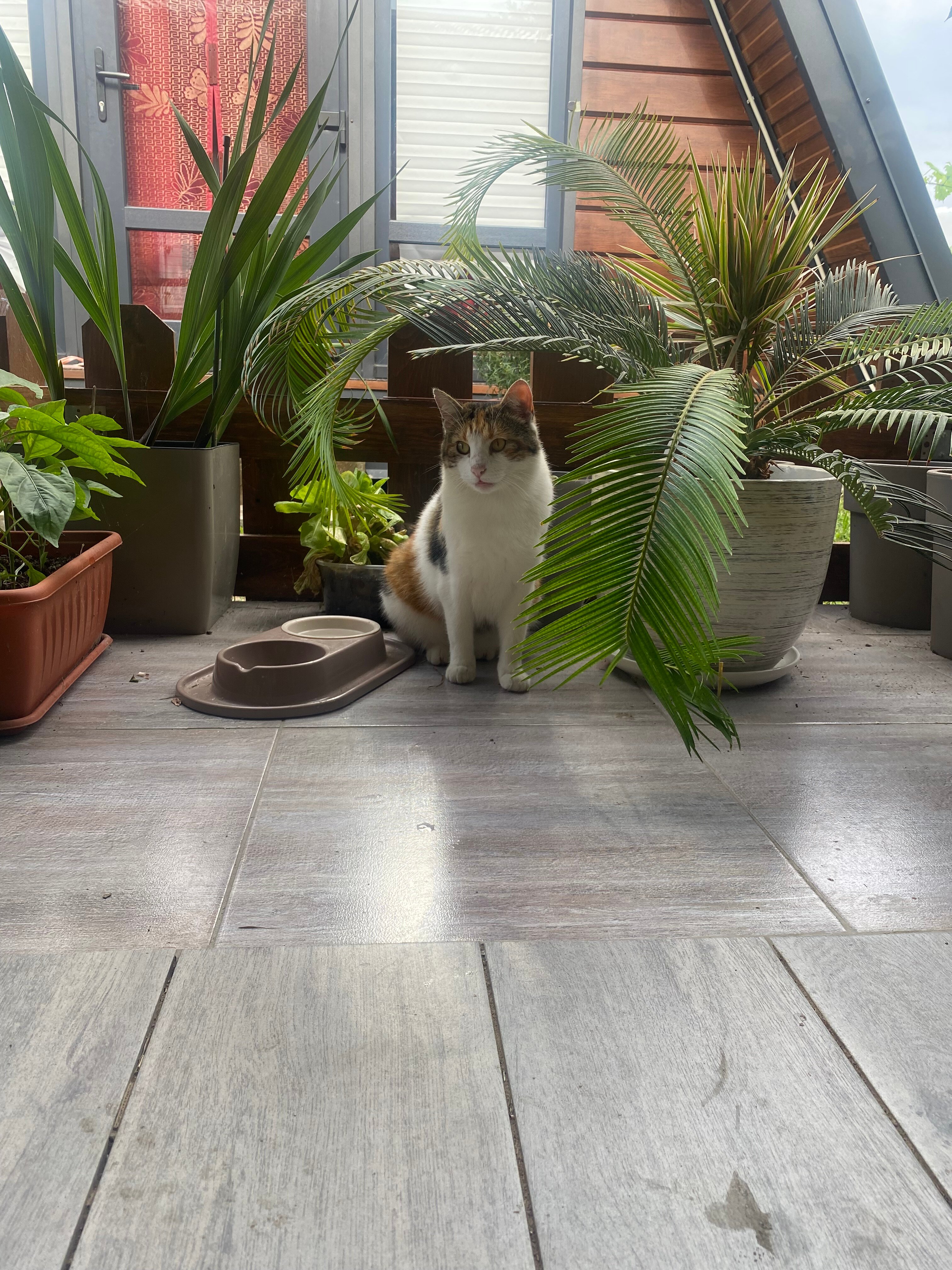 Фото III Берега