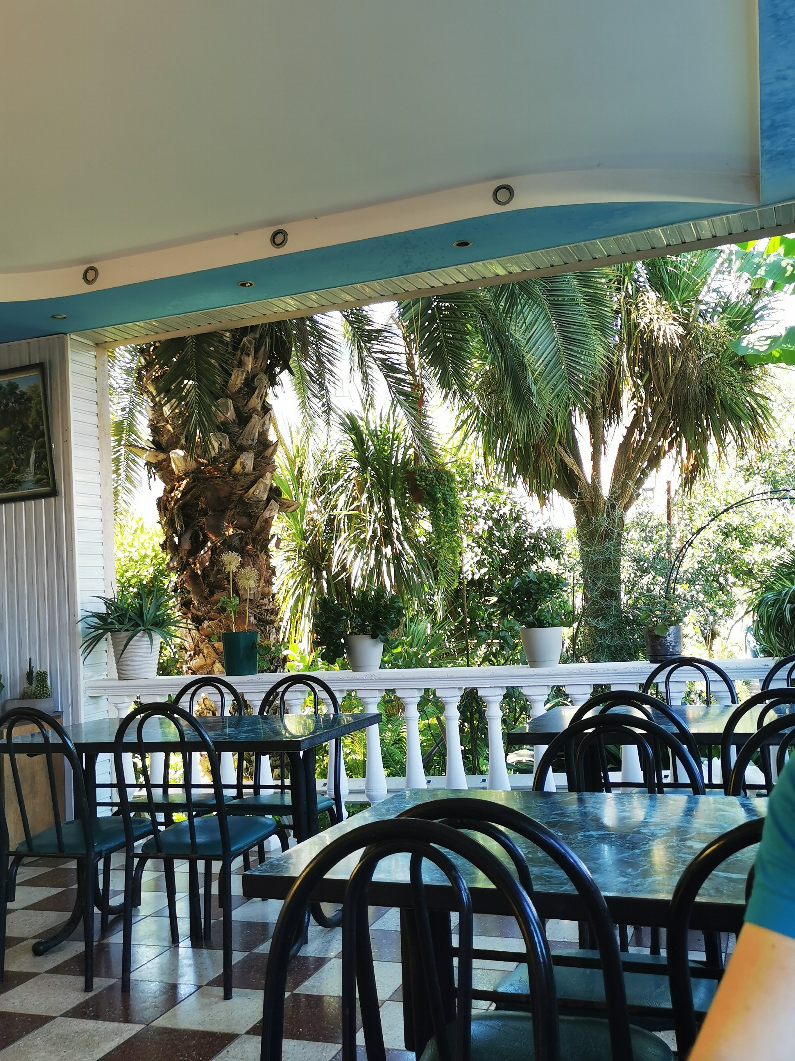 Фото Тропики