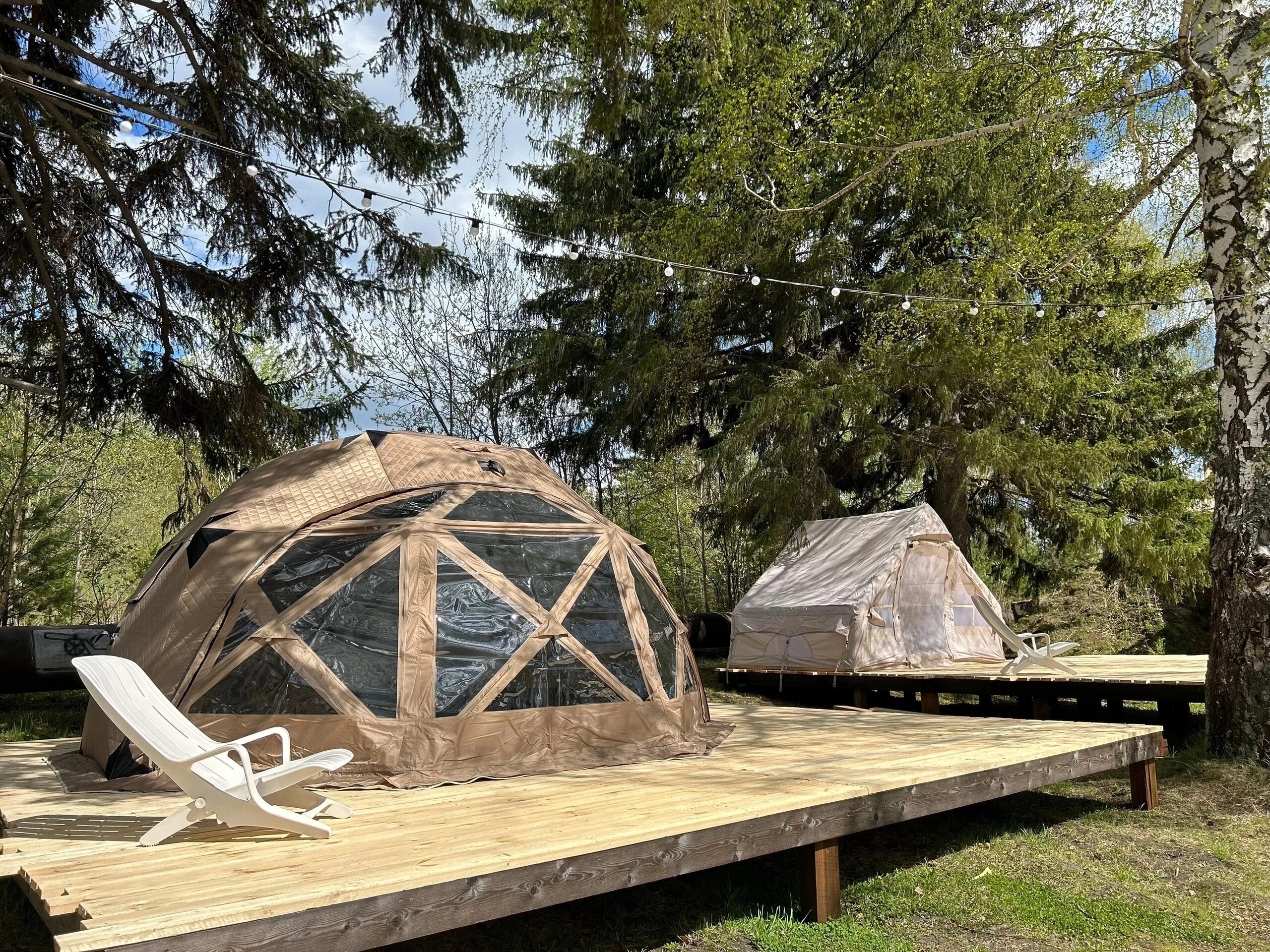 Фото Вогульский крокодил