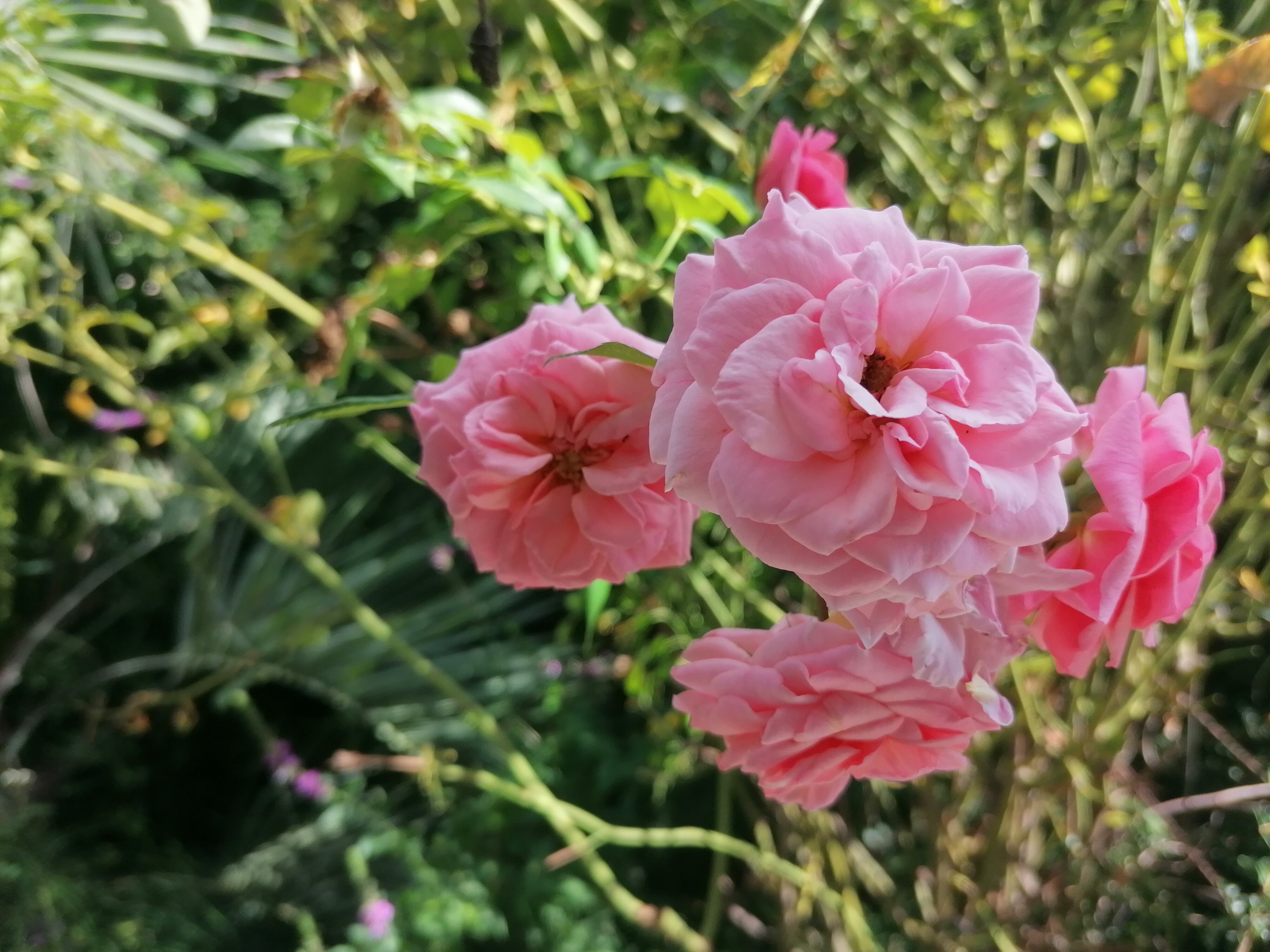 Фото АквариумЛоо