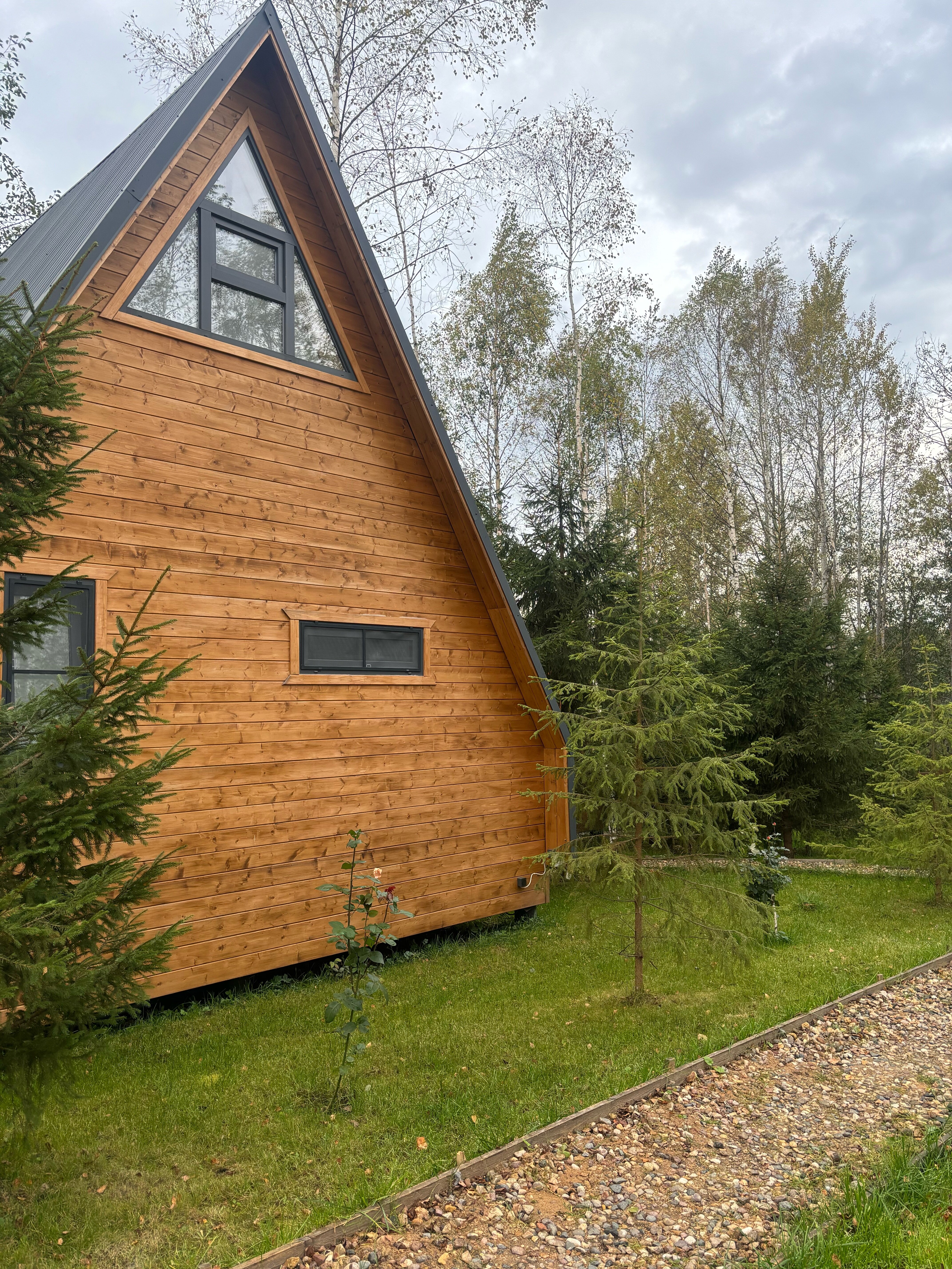 Фото My little forest