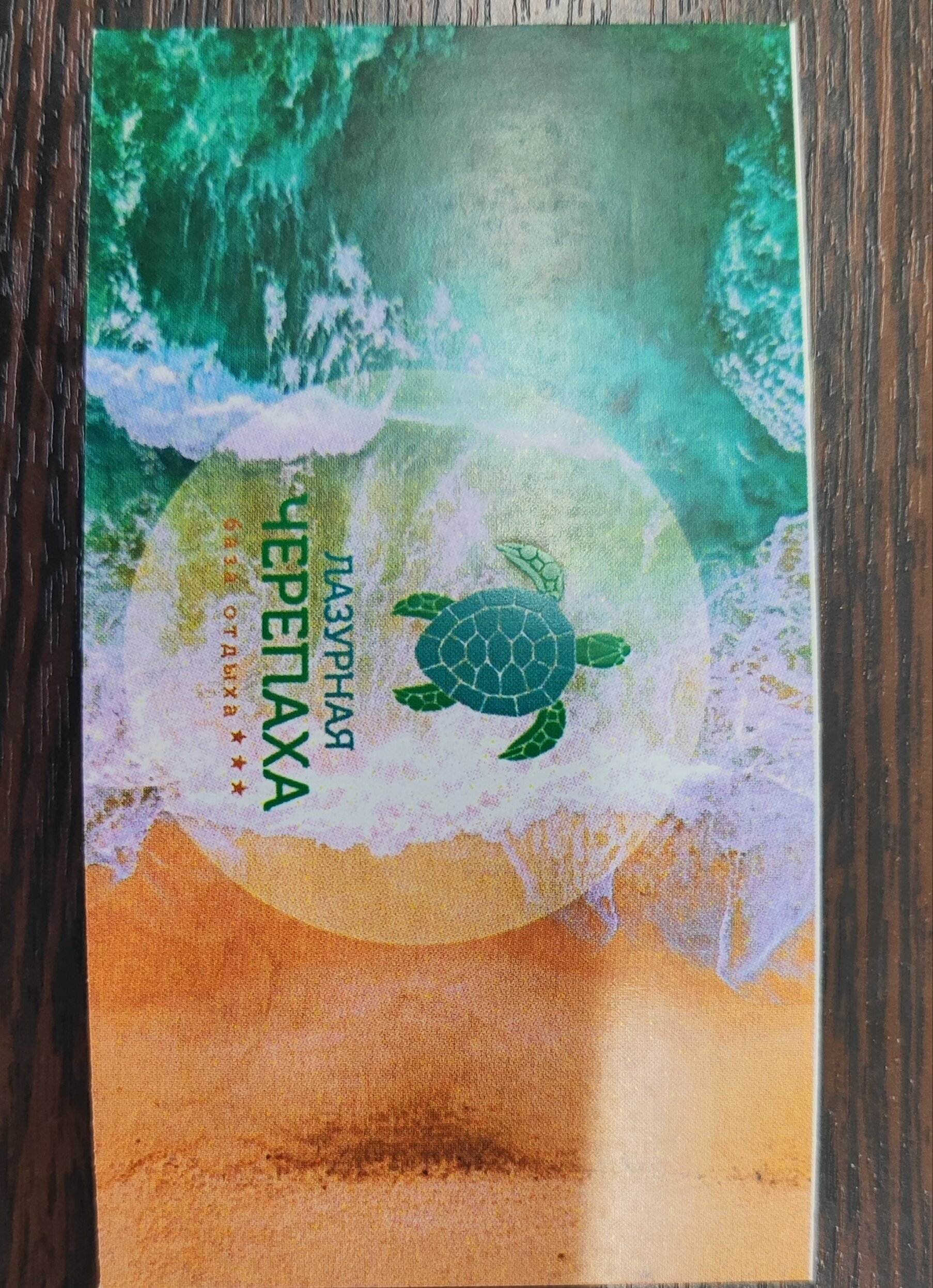 Фото Лазурная черепаха