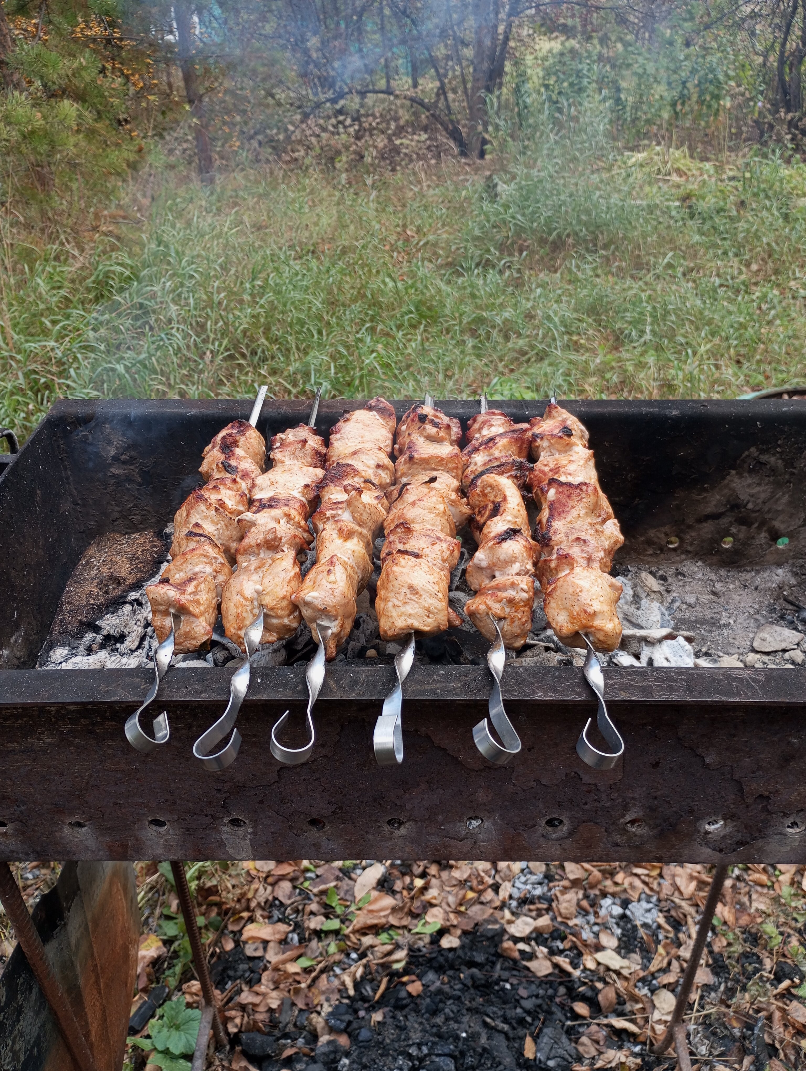 Фото Зотино