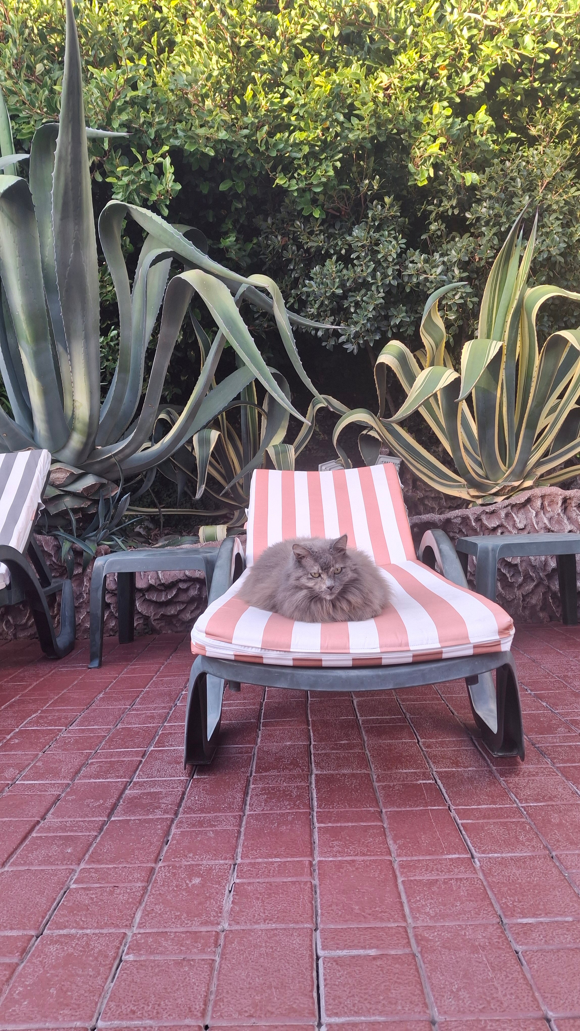 Фото Нарния