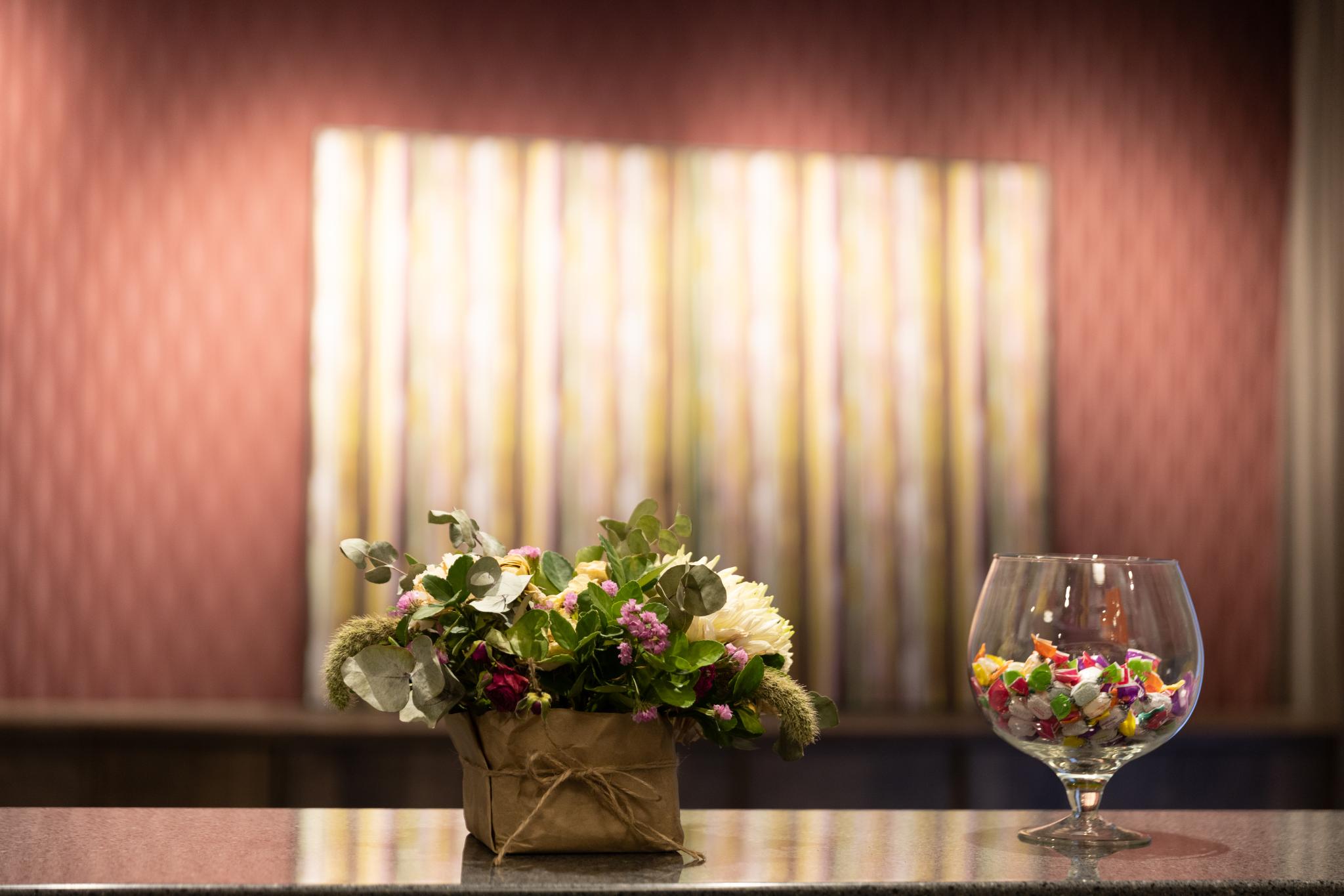 Фото Белый лотос