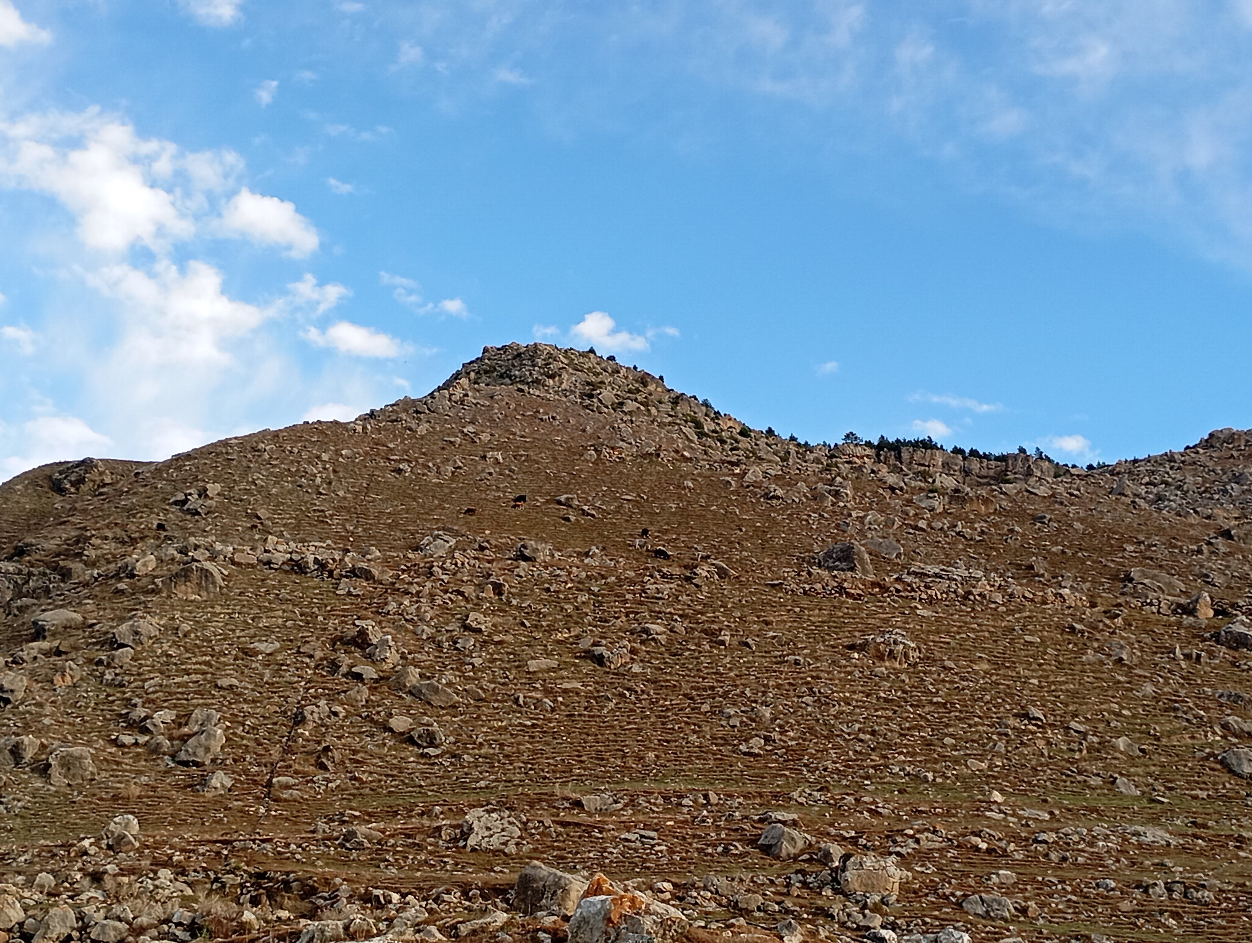 Фото У Магомеда