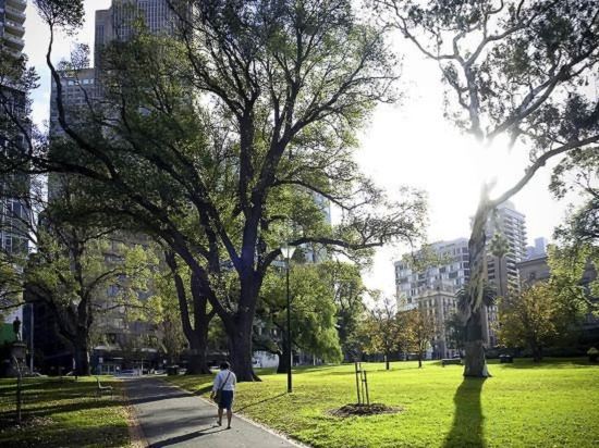 Фото Ibis budget Melbourne Cbd