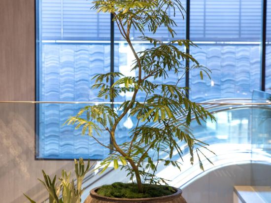 Фото Hotel Forza Kyoto Shijo Kawaramachi