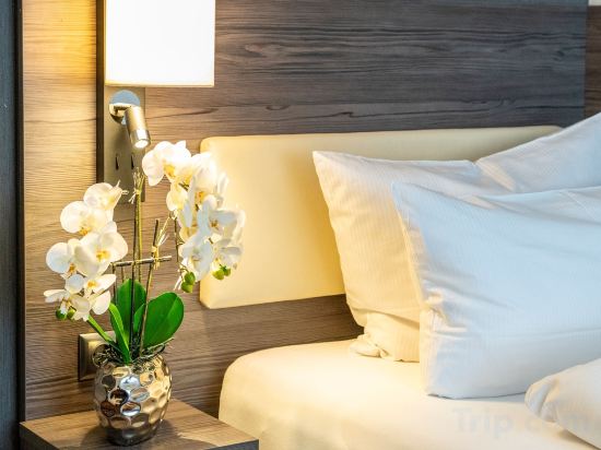 Фото Plaza Hotel Buchhorner Hof