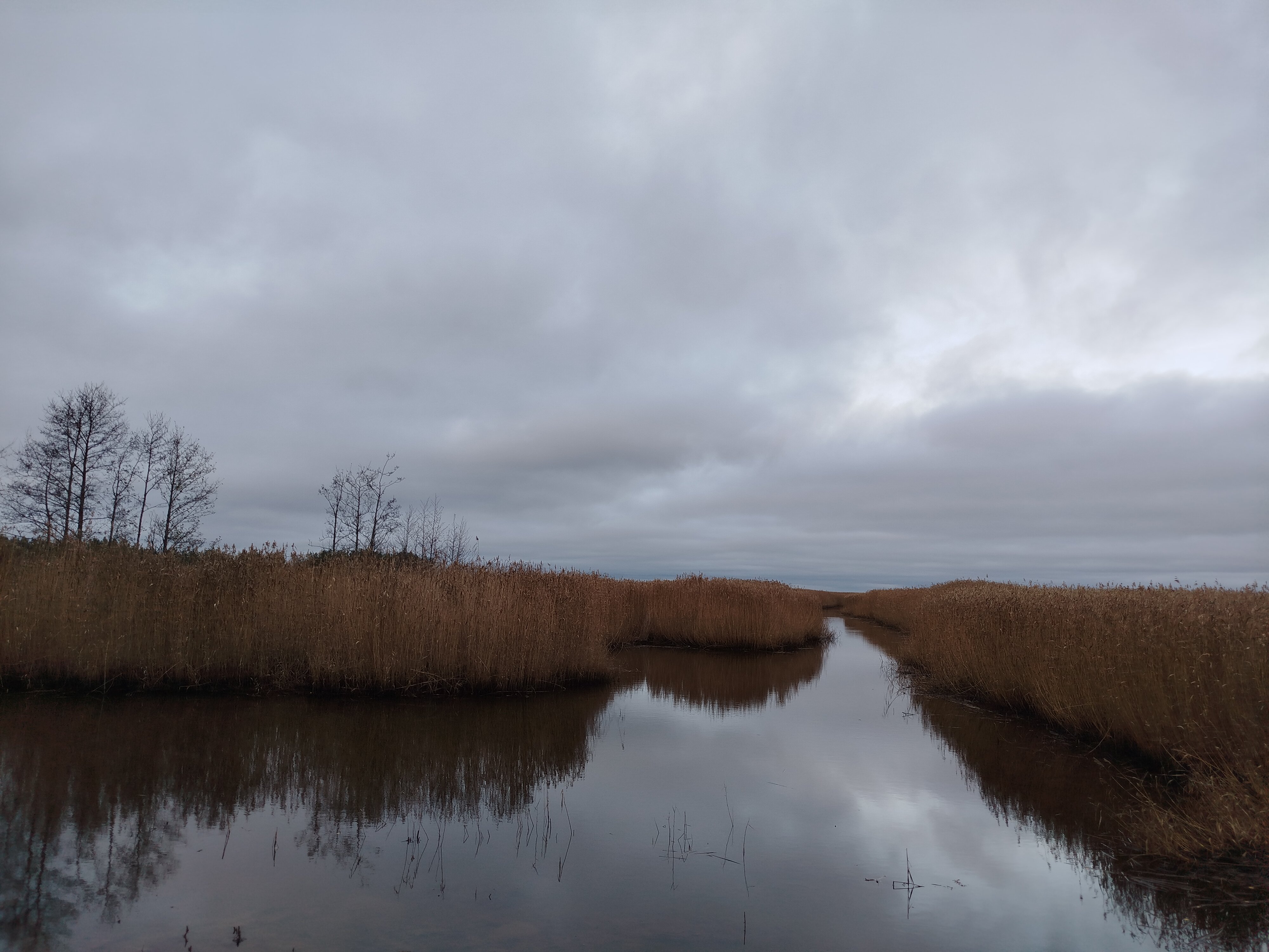 Фото Усадьба Лебяжье