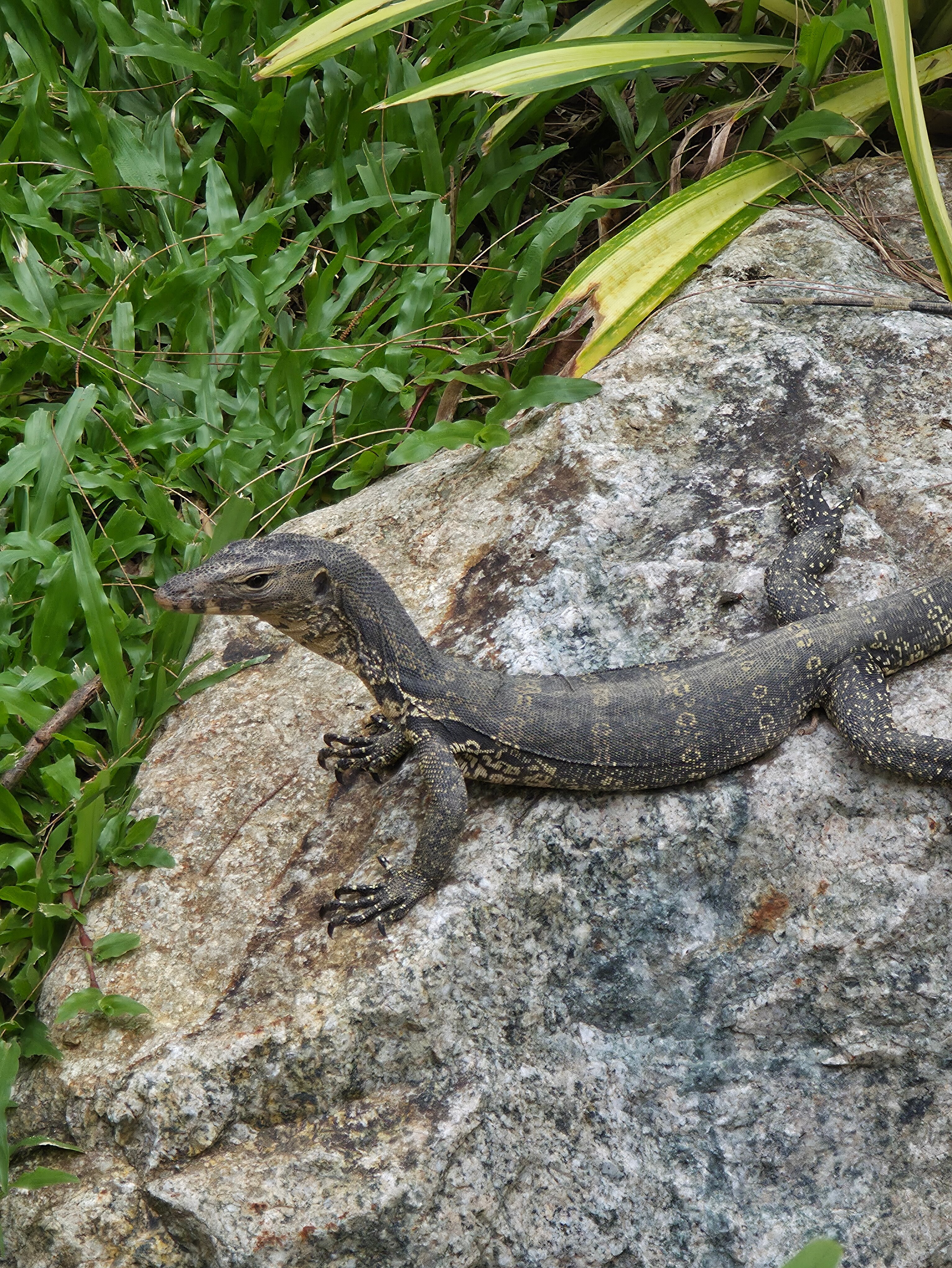 Фото Avani Khao Lak Resort