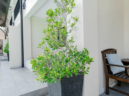 Фото Отель Naiya Buree Boutique Resort