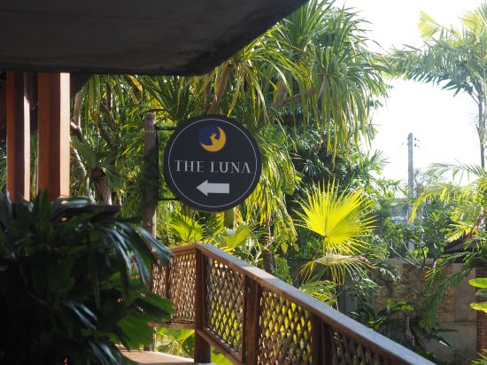 Фото The Luna