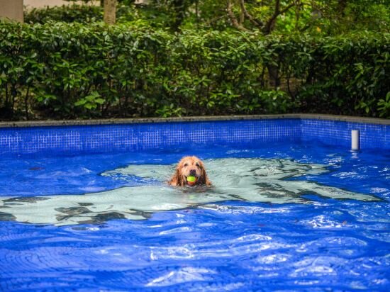 Фото Hyatt Regency Chongming