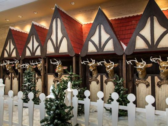 Фото Hilton Anatole