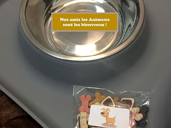 Фото Hotel Saphir Lyon