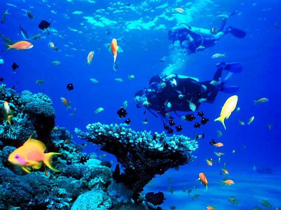 Фото Saigon Phu Quoc Resort and SPA