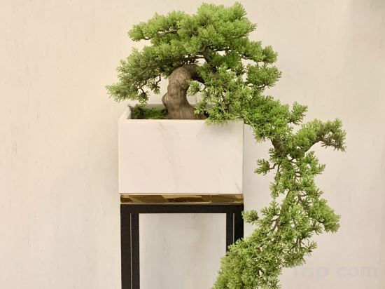 Фото 227723213814