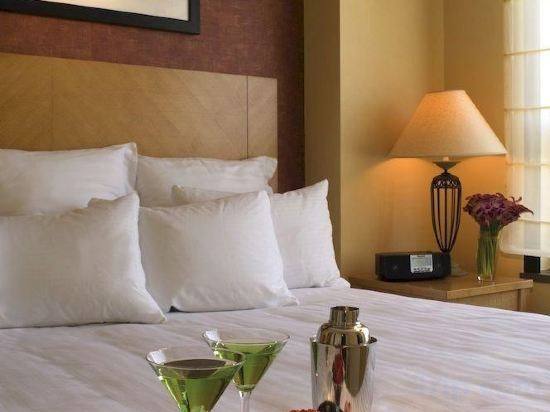 Фото Renaissance Chicago O'Hare Suites Hotel