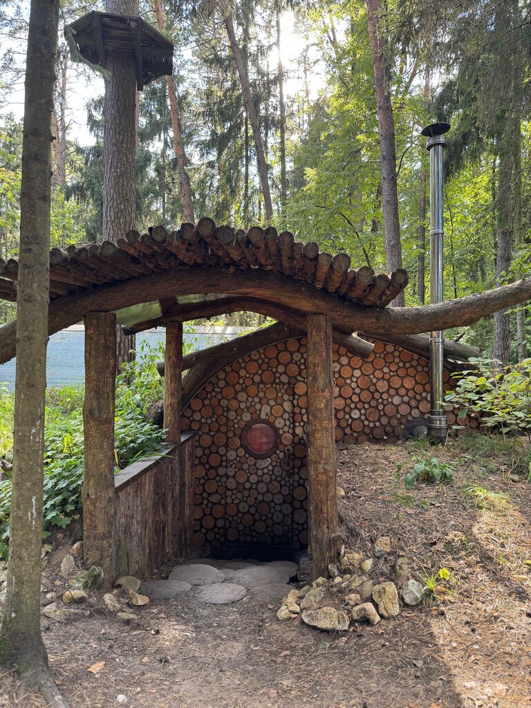 Summer camp Pine River Park, glade № 1, Kaluga Oblast, photo